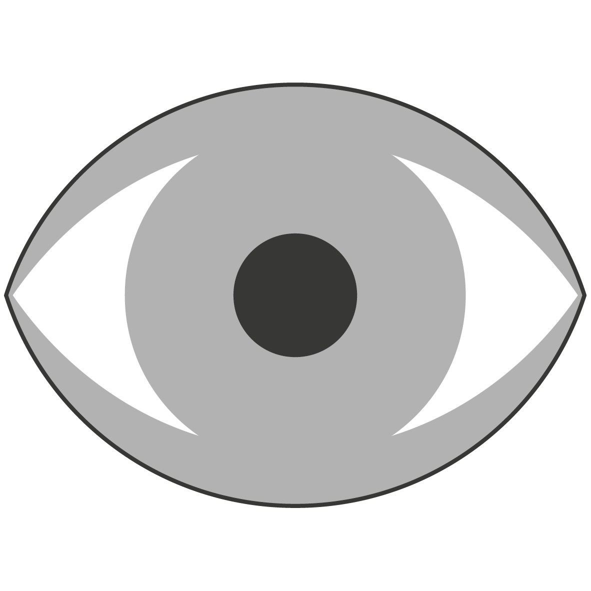 Visual disability eye icon