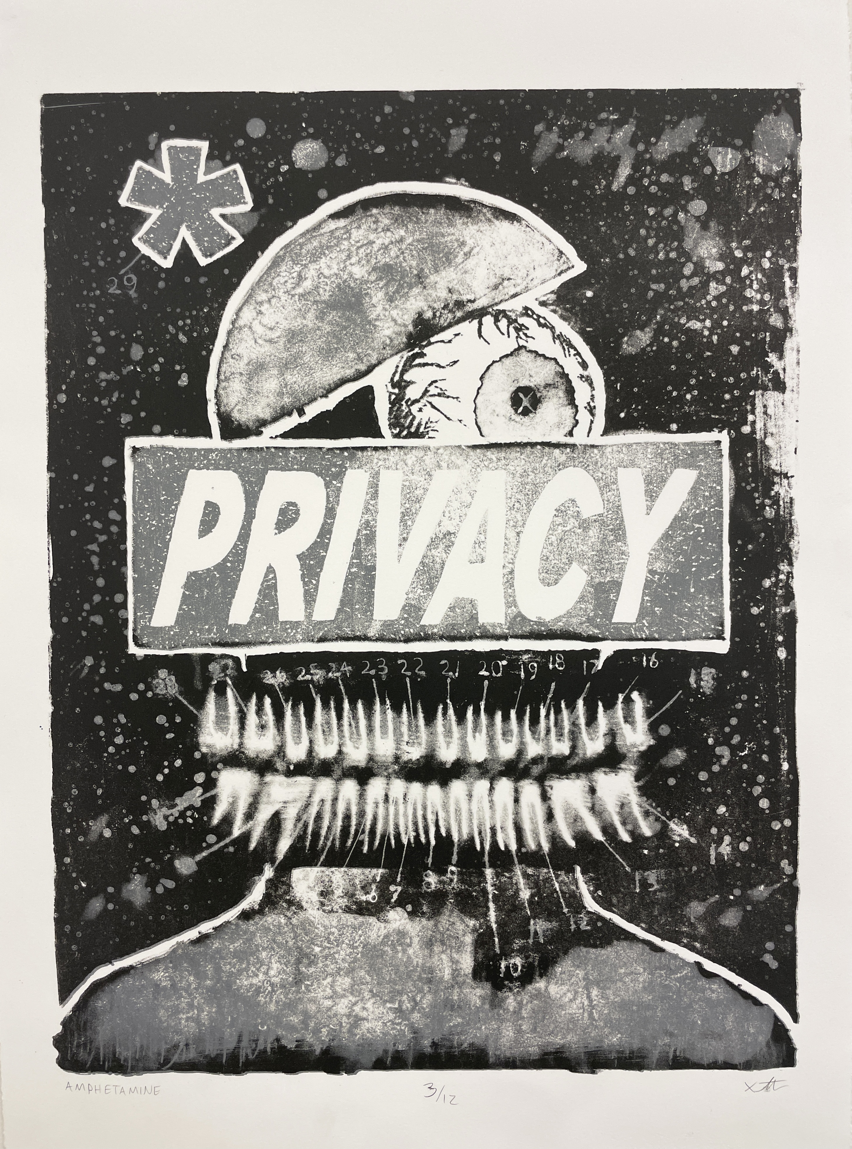 AMPHETAMINE lithograph (20"x15")