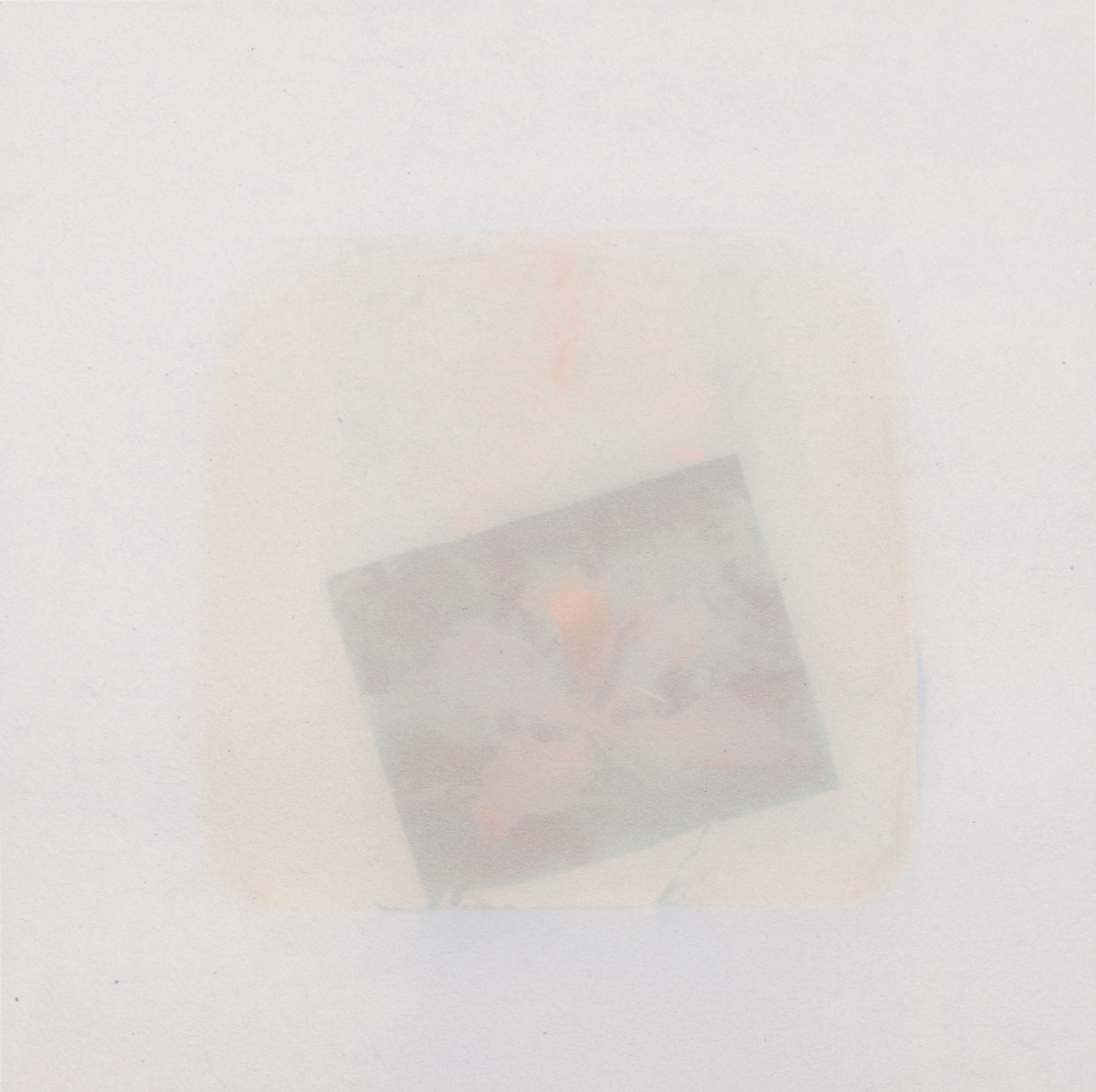 陳卓甄,《啫喱世界——洋紫荊》,2020年,光媒版畫:樹膠染印,37 x 37厘米,藝術家藏