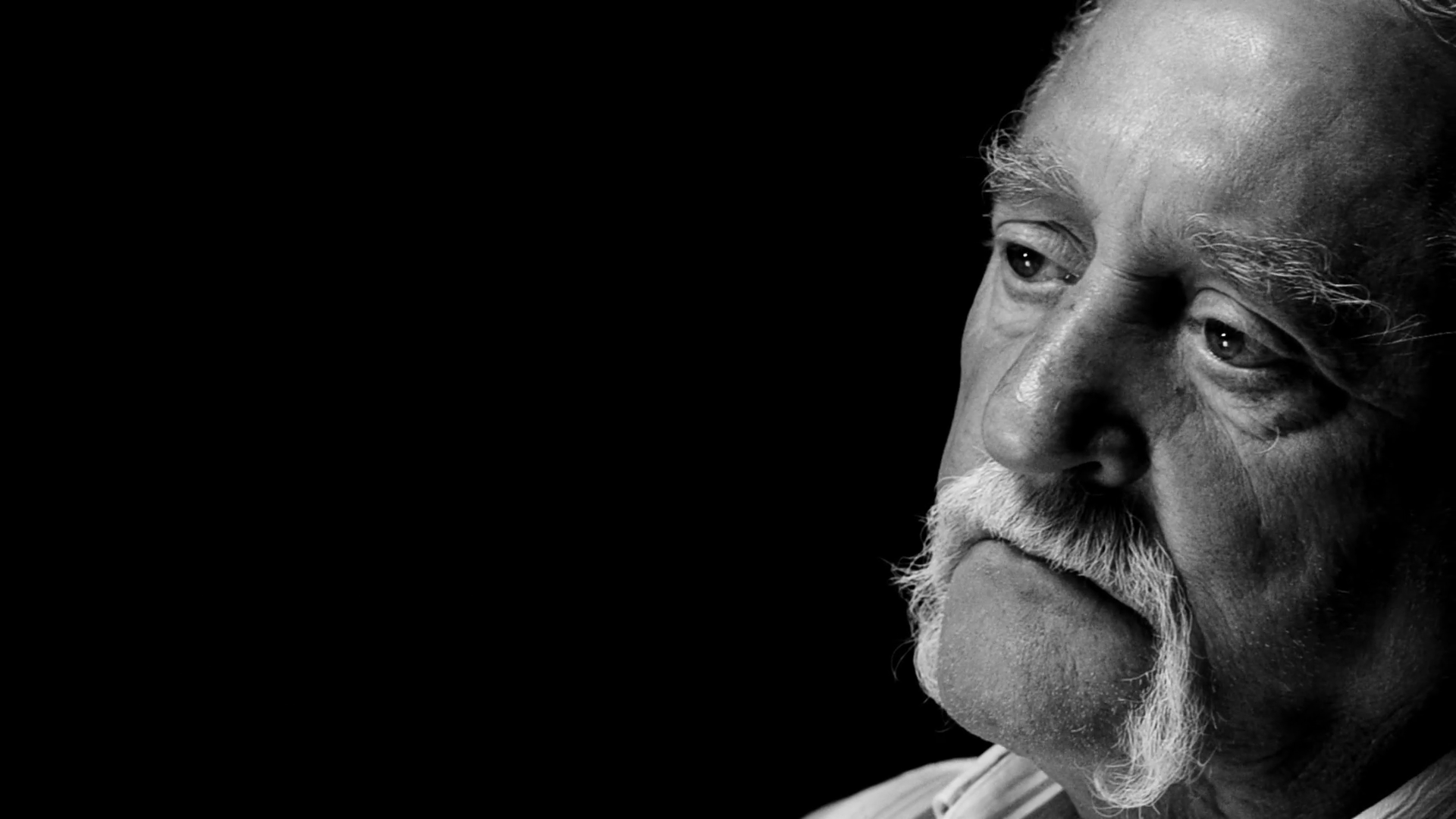 Cheratte - Meta-Morphosis 