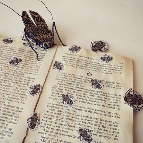 is_the_seashore_crooked_?