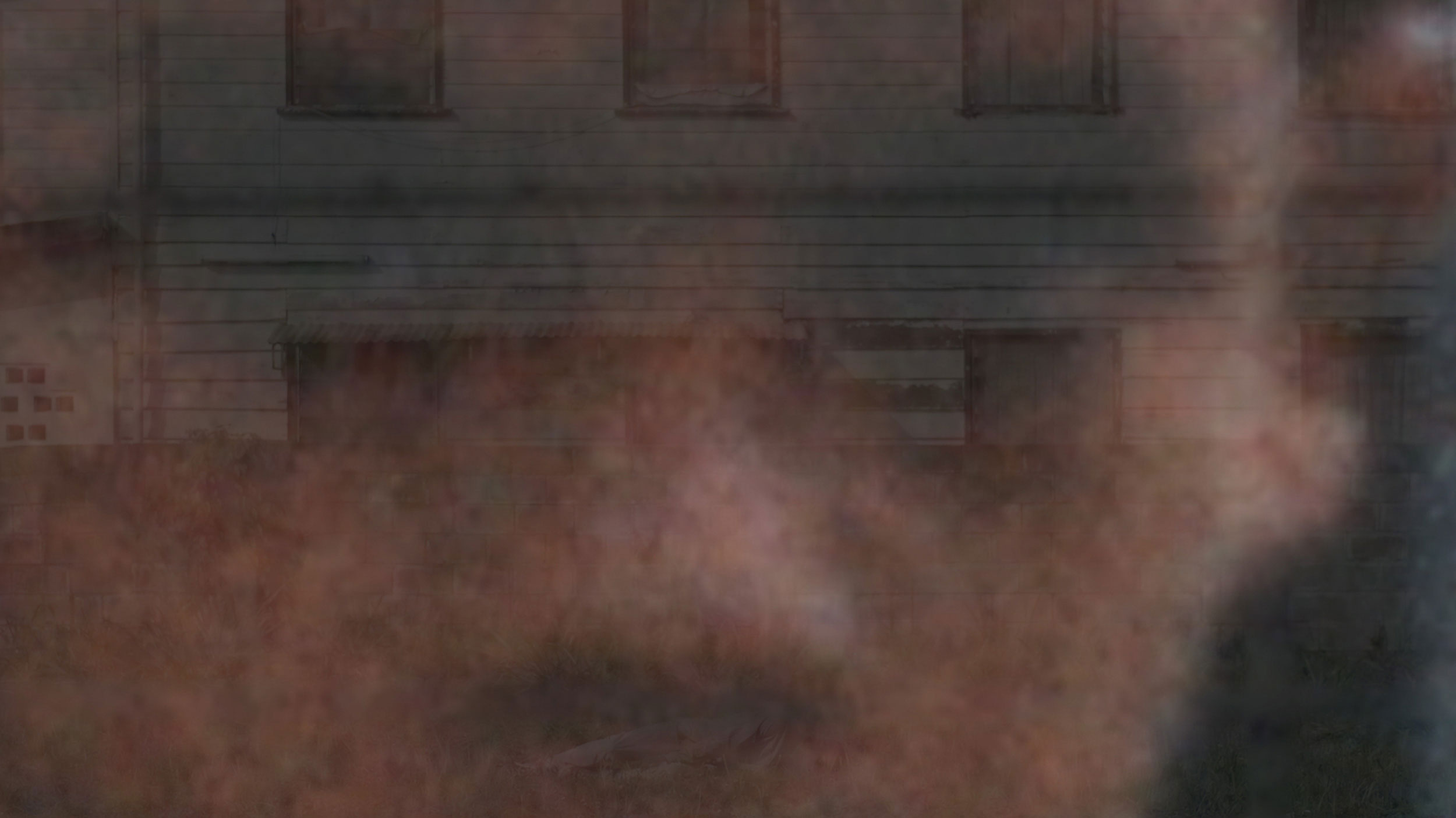 Misty Man, 2024  Still