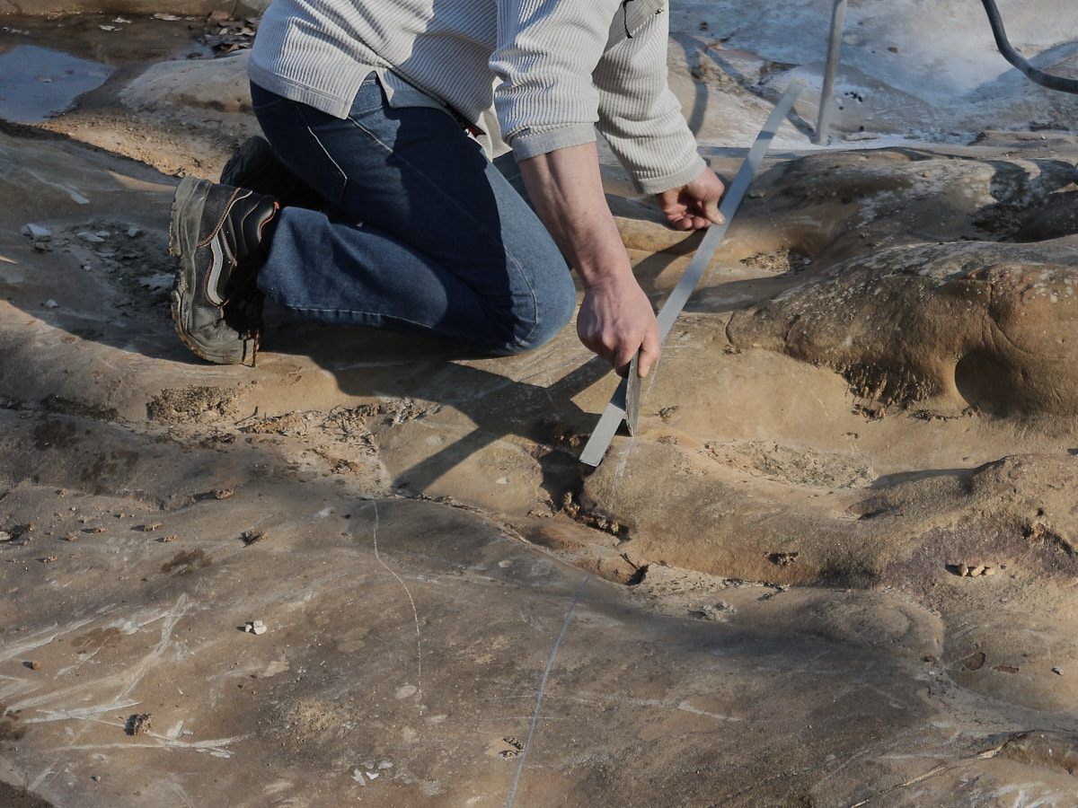 Le carrier dimensionne le bloc à couper