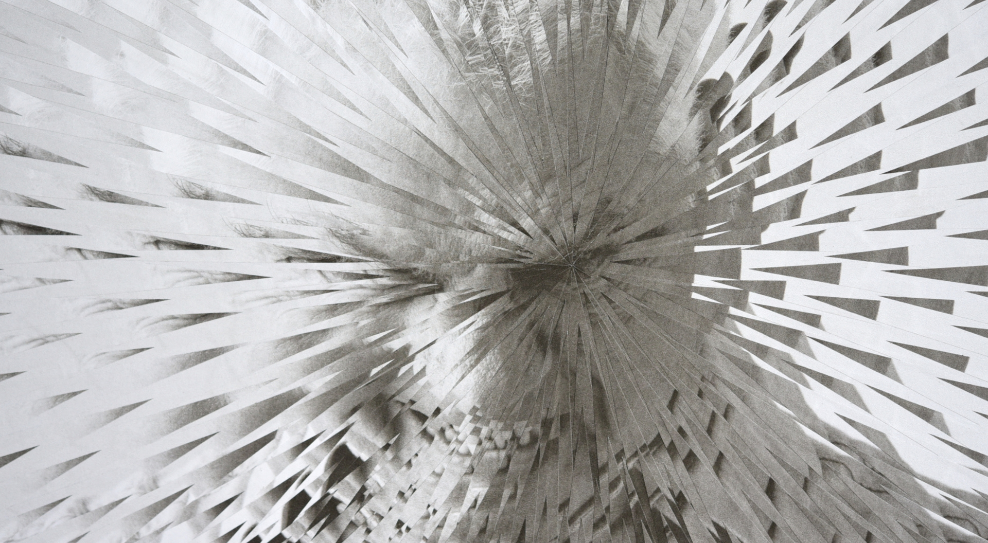 Does anger make you age more quickly?  For Endpoints with art director Zak Bickel and creative director Erick A. Fletes