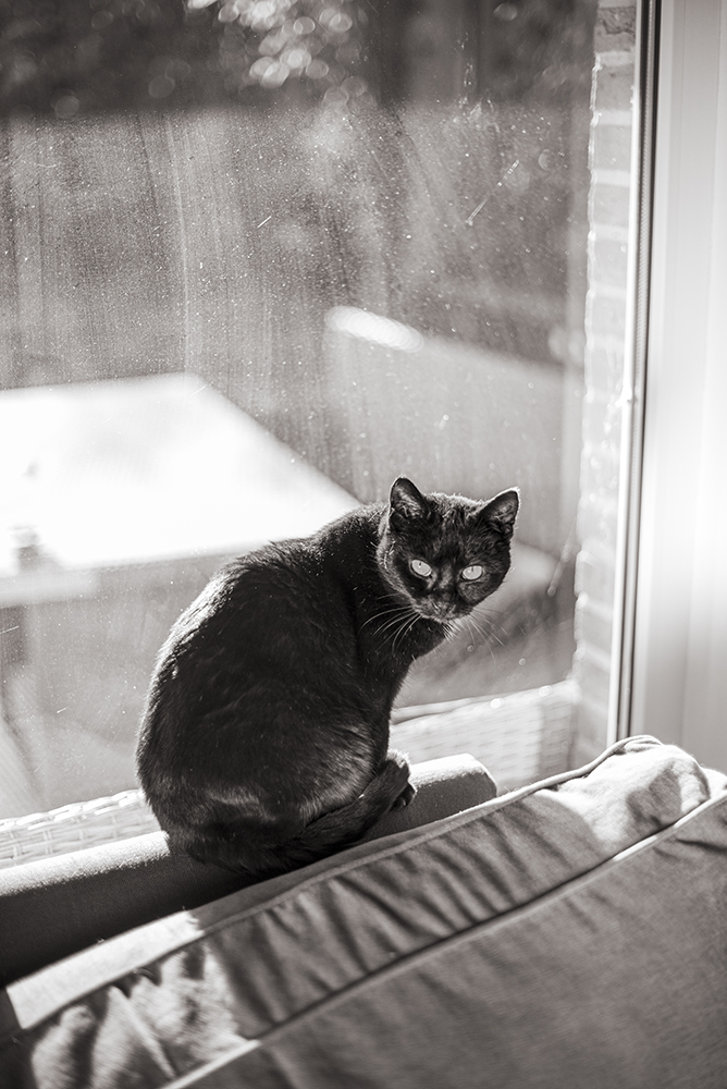 Niebla, Pigmented Inkjet Print (Canson Platine Fiber Rag, 310 gsm), 40 x 27 cm