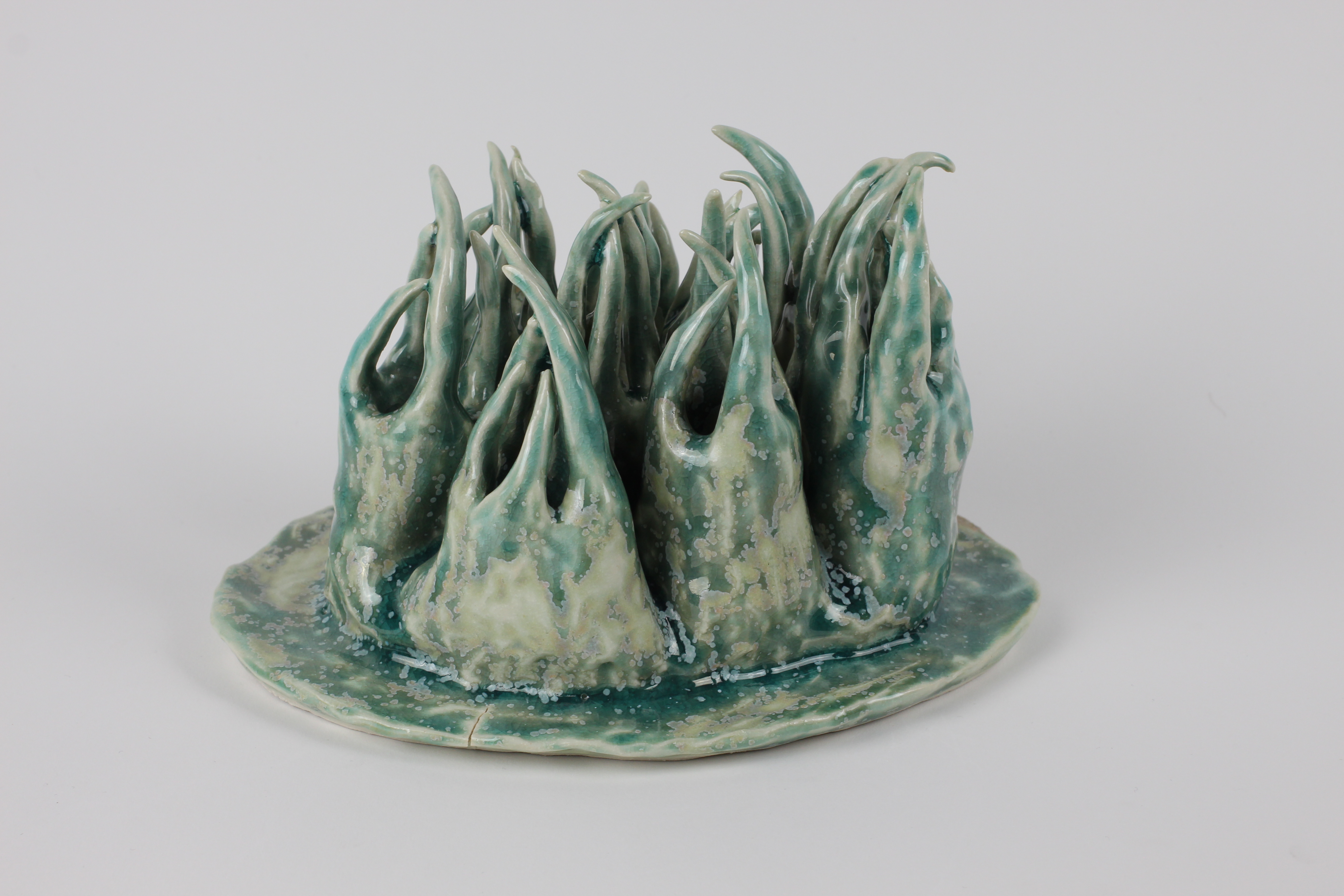 Crystal Anemones, Porcelain & Glaze, 2022