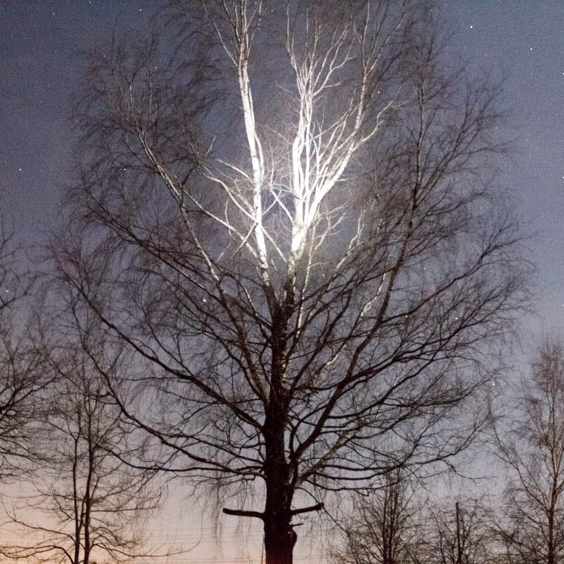 transience #33 with Lou Drago and Jin