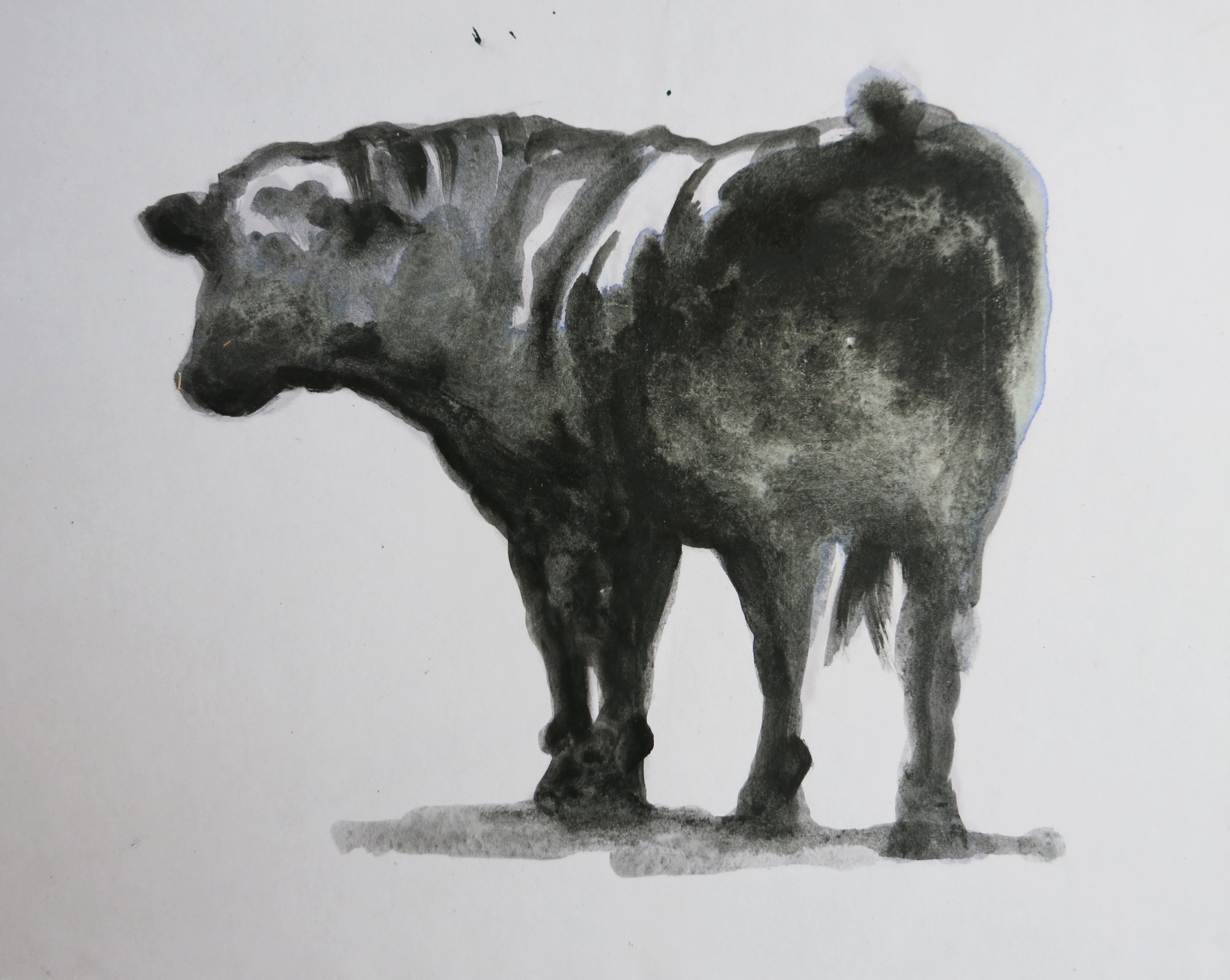  Ink on paper &ndash; 11&rdquo; x 8&rdquo; 