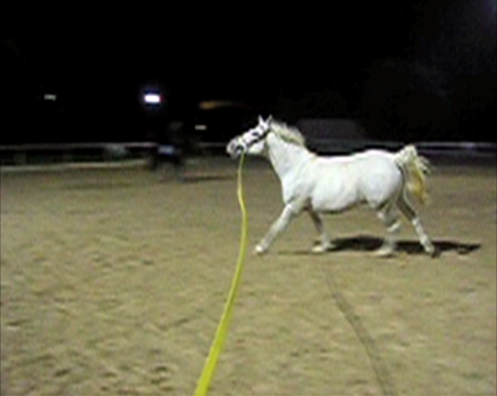 Trabajar o Caballo describiendo un círculo, 2009 [still]Single-channel video projection, color, silent8 sec. loop