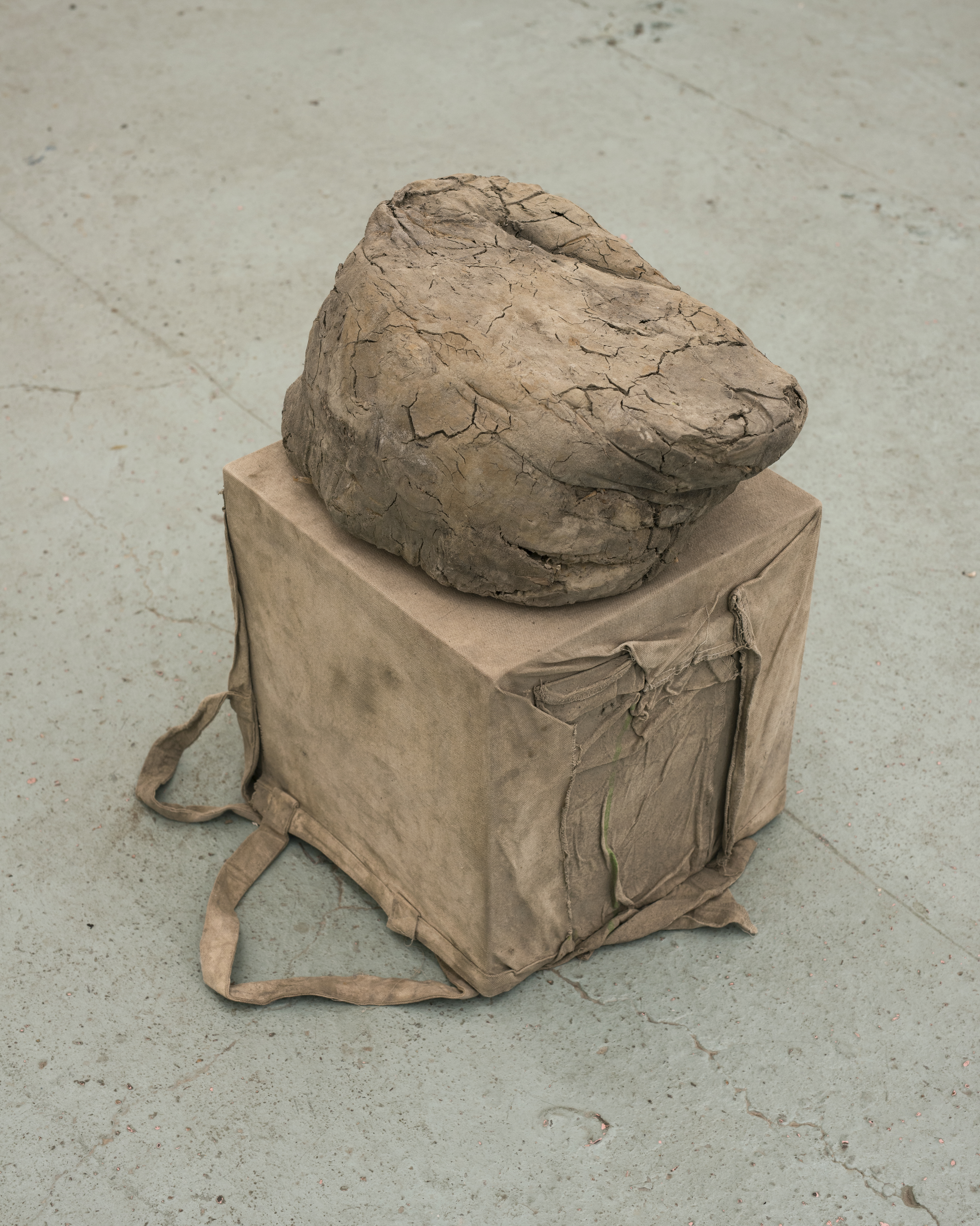 P|cture by Fabien Silvestre Suzor