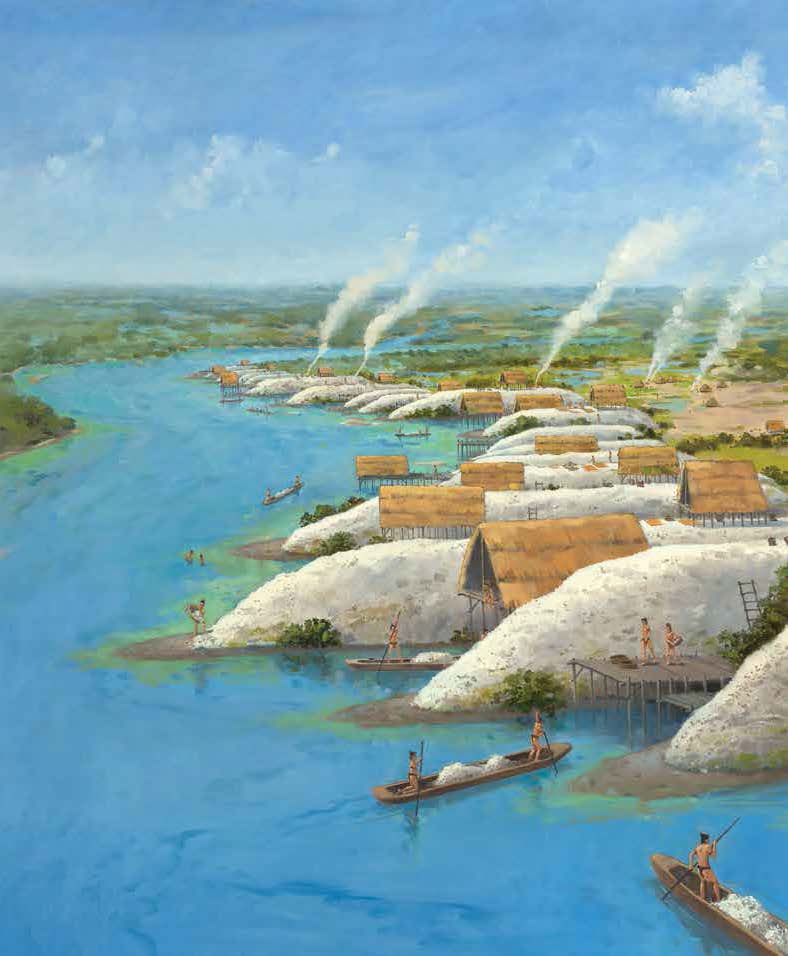 Shell Mounds at the Turner River Shellworks site, Florida. Illustration: Martin Pate.