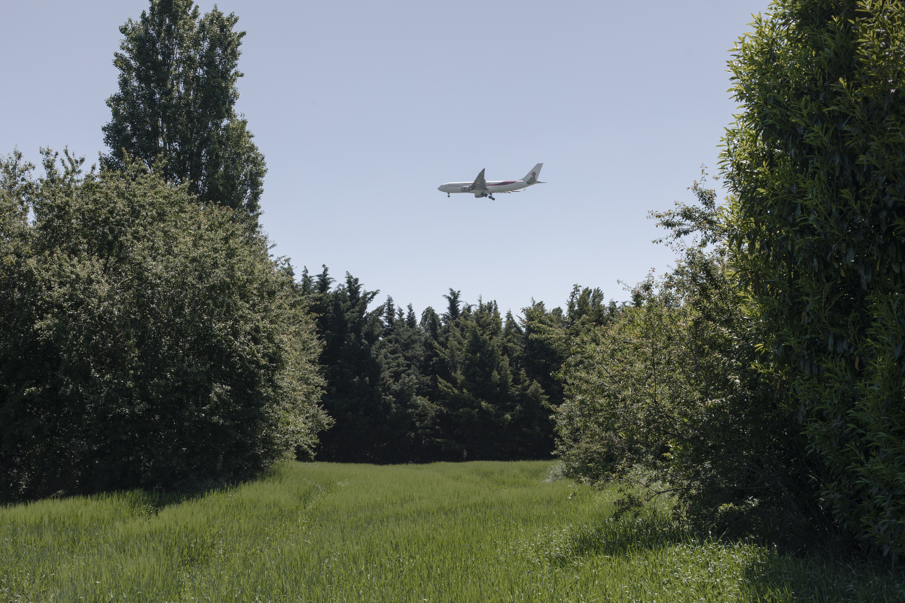 julien cregut - péri -©juliencregut