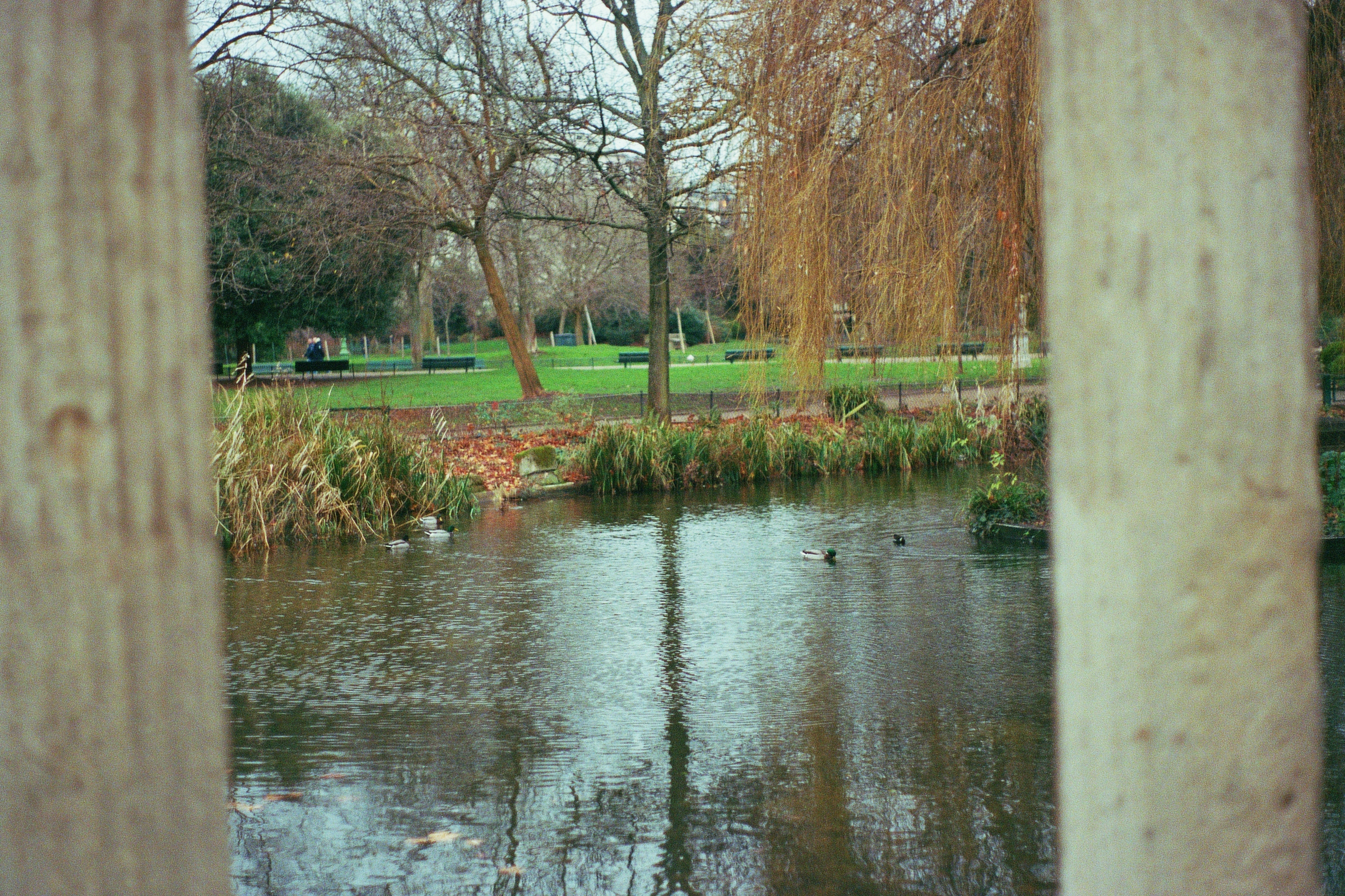 "Untitled (Paris #8)", analog photo (2023)