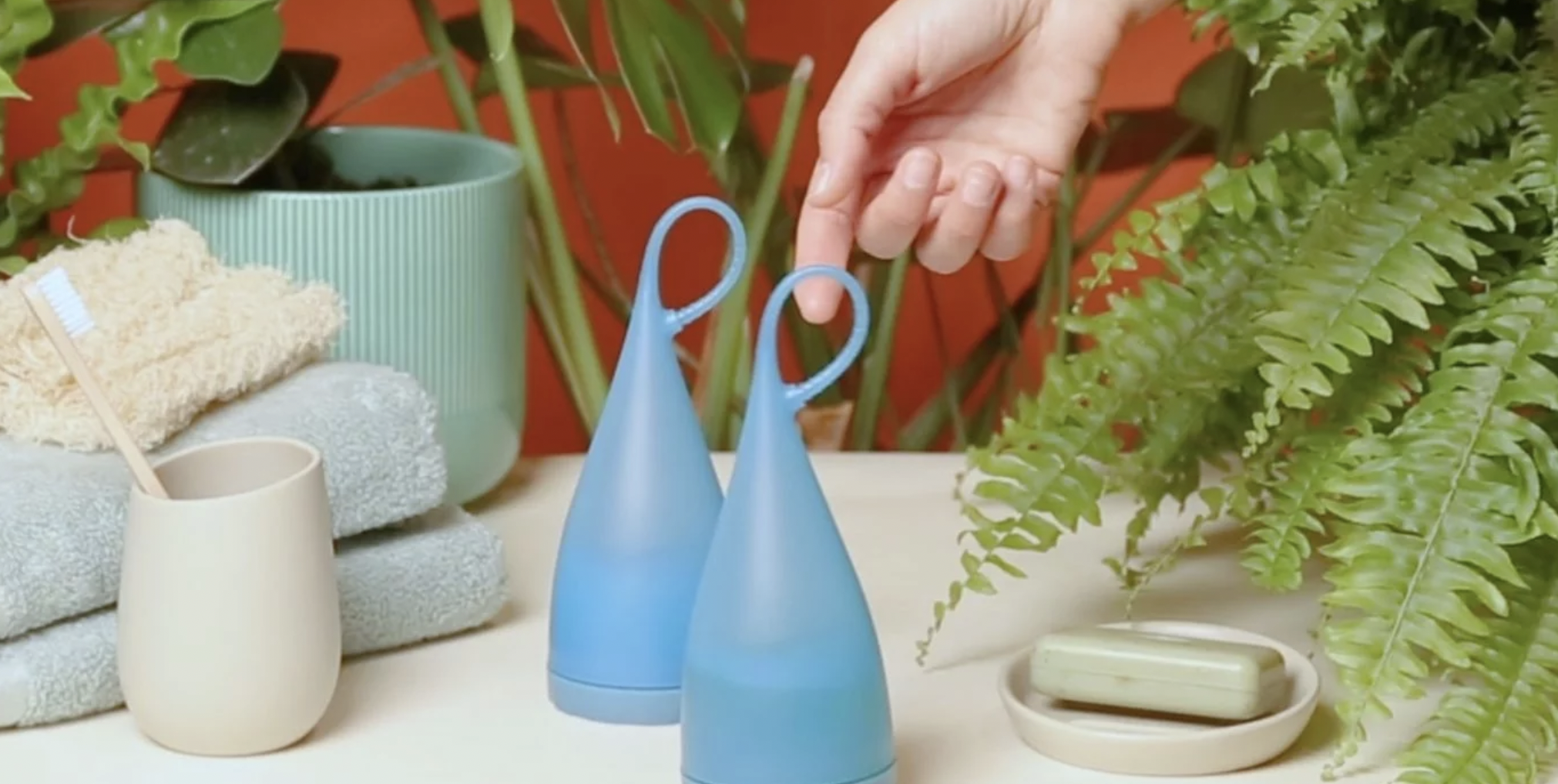 Nepenthes for Goodpoint Agency | Product Ad