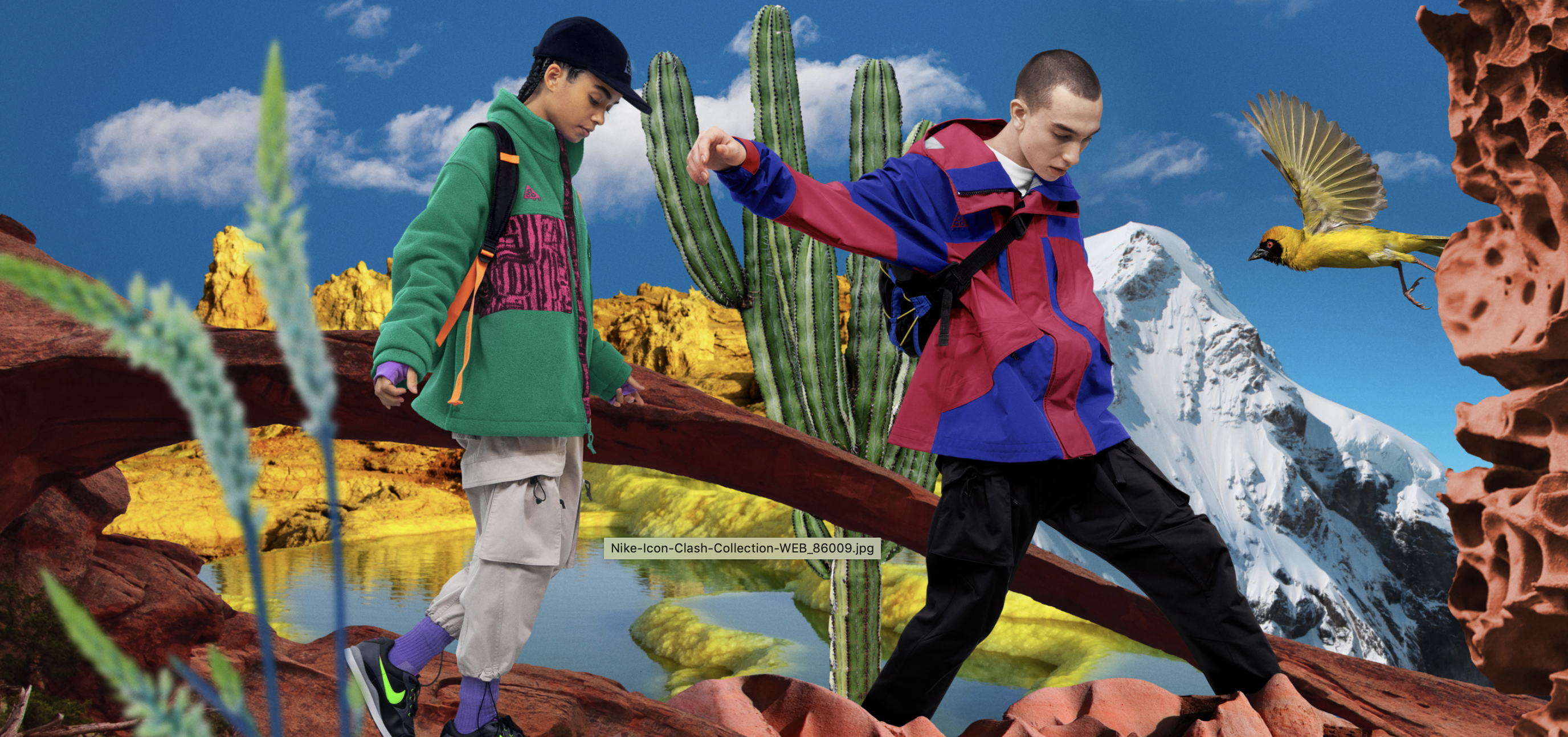 nike acg 19