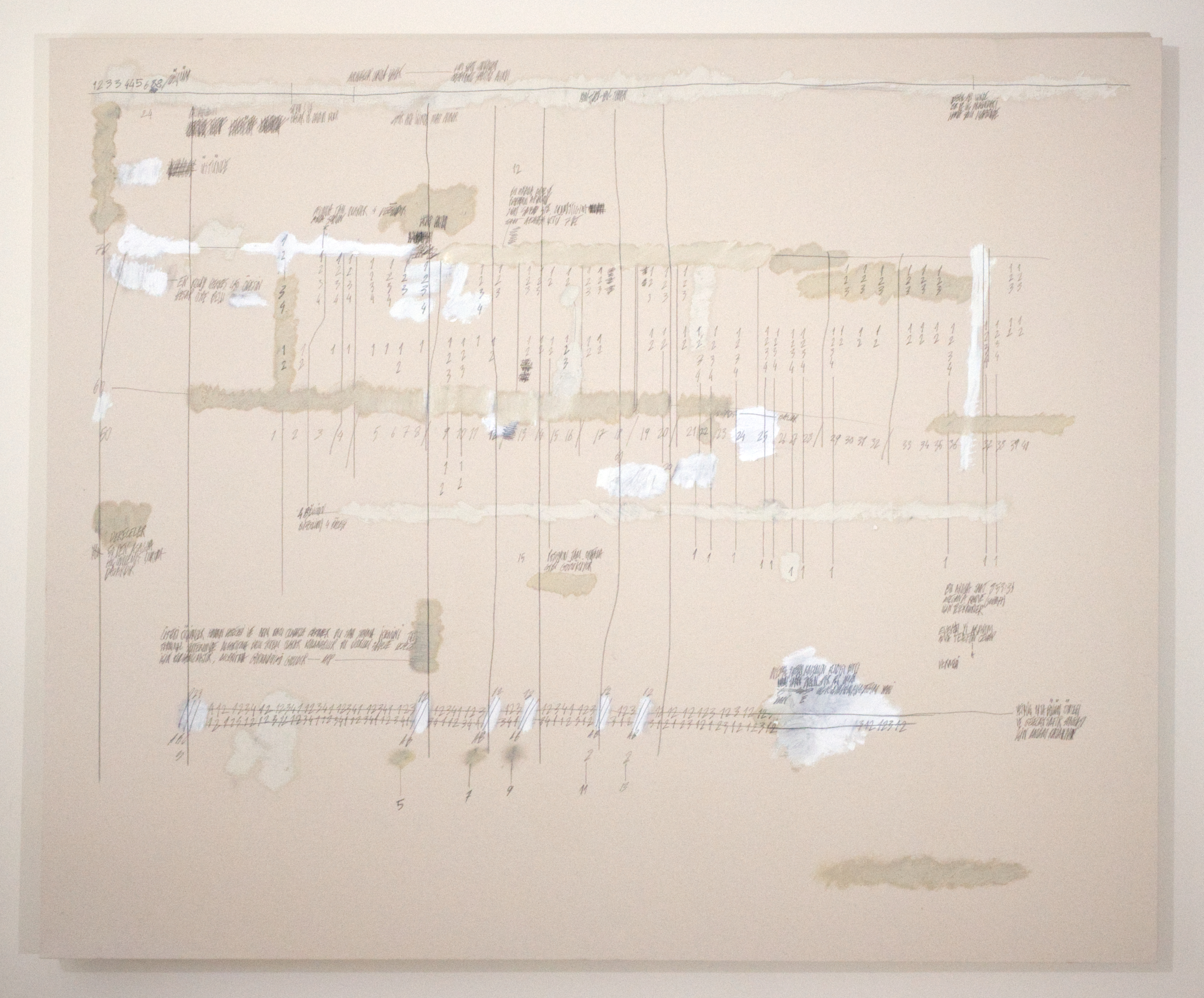 Untitled, 2019. Oil, graphite on canvas, 70 x 58 in.