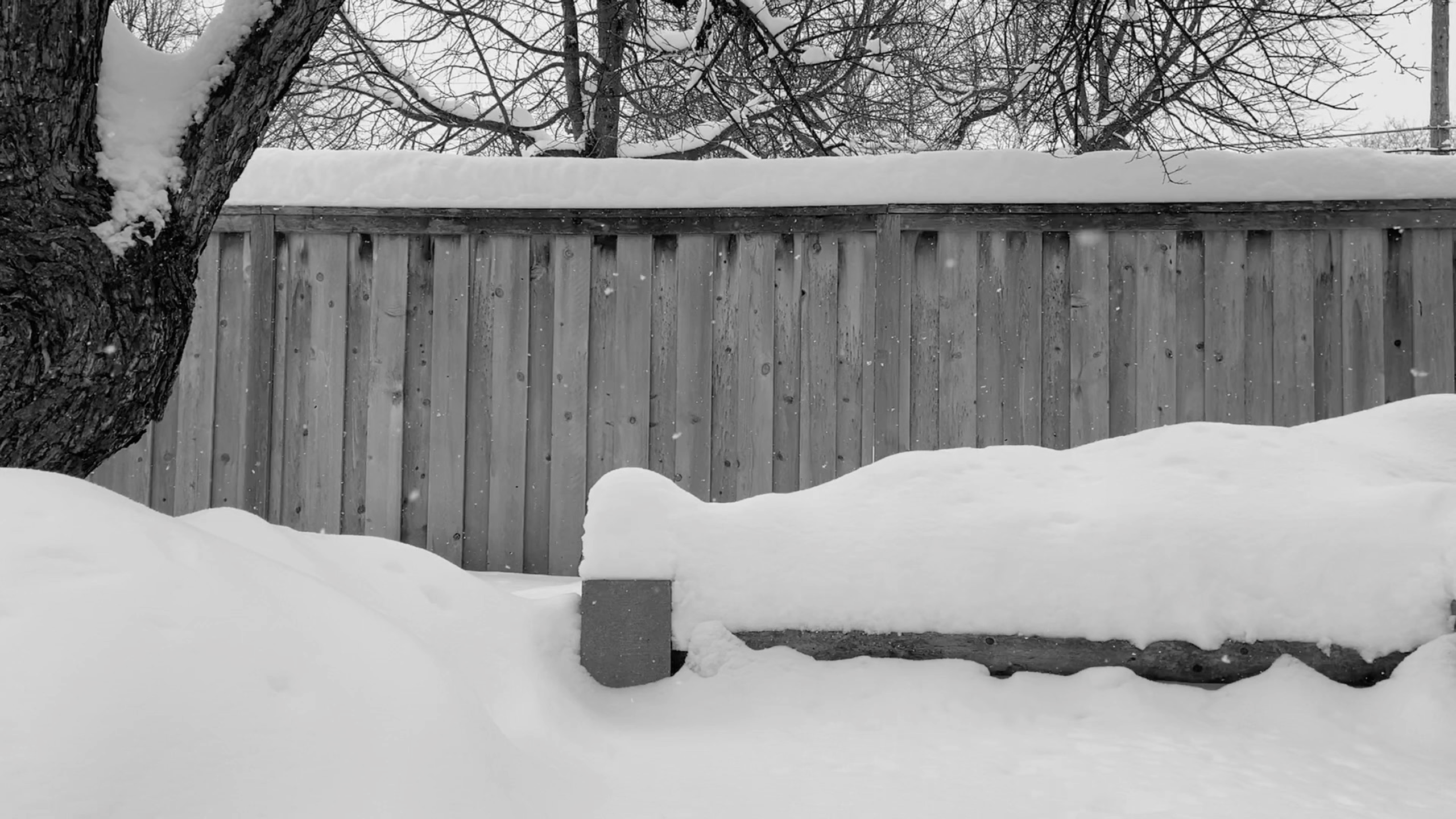 Wisp, a screen shot from the video, 2019