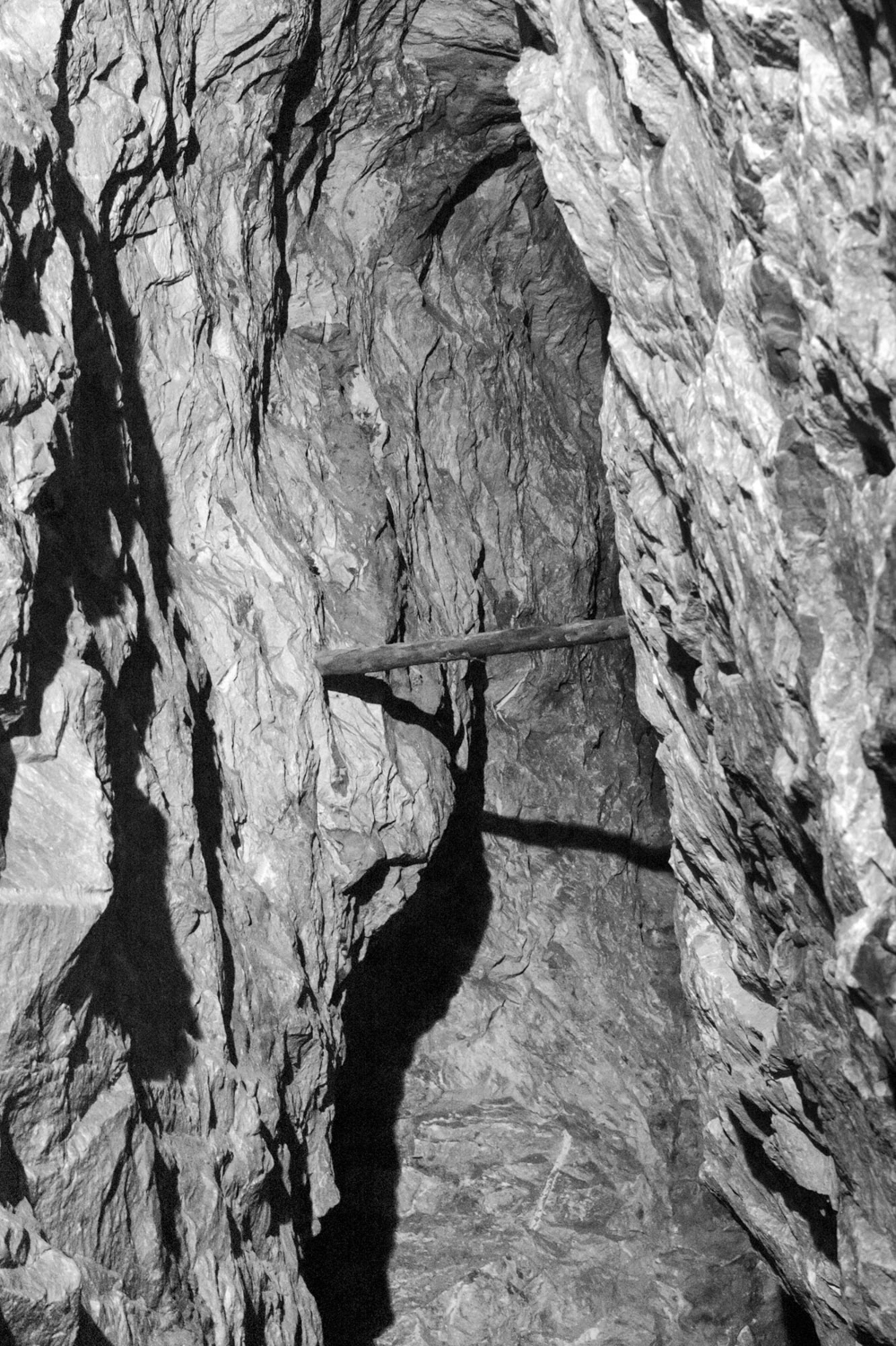 untitled (stick), digital photograph