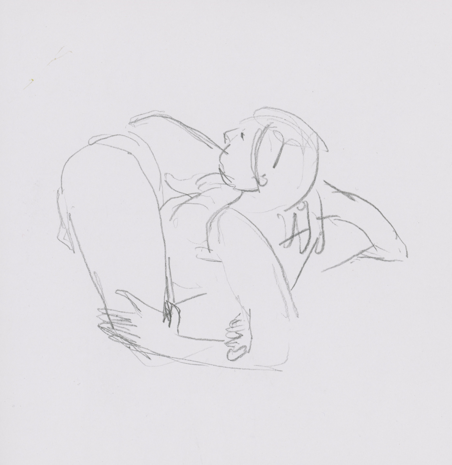 'Ze is een acrobaat' 2016