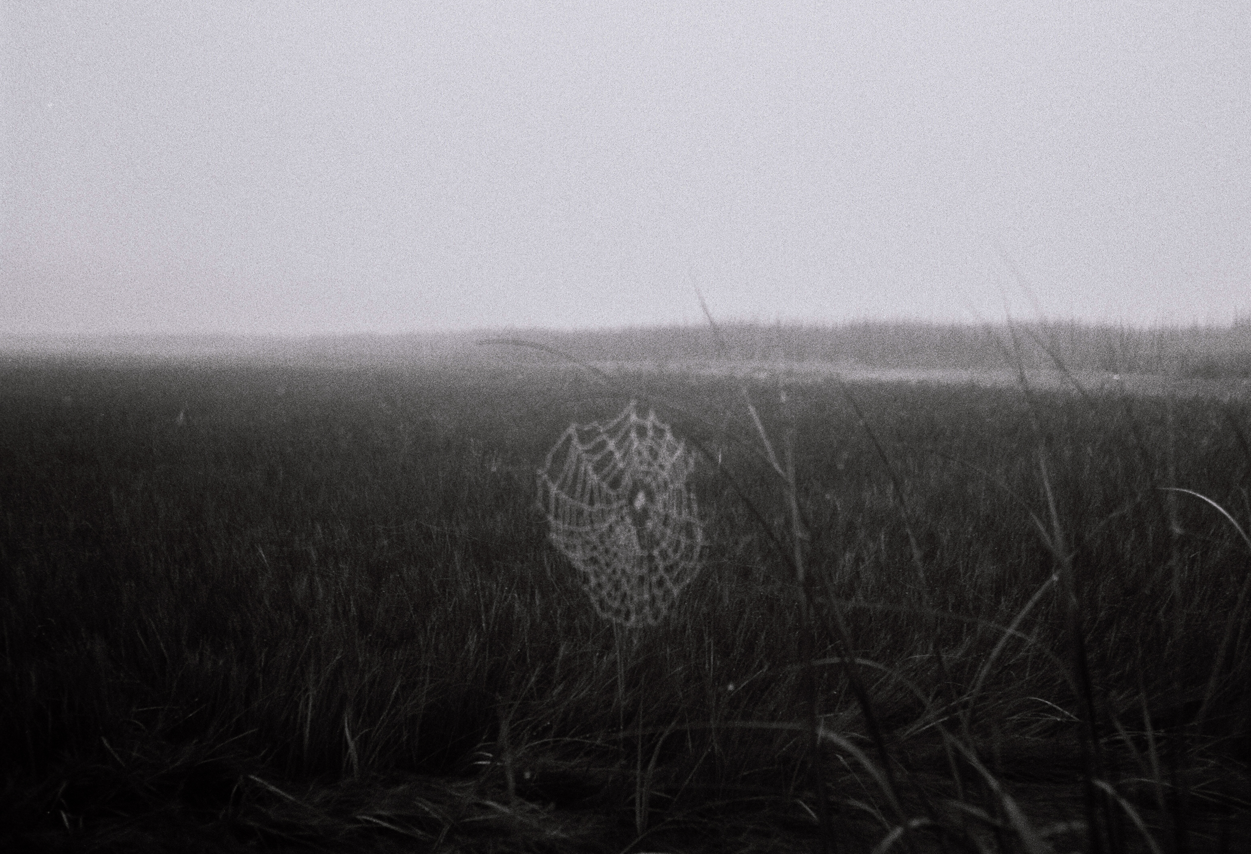 Brewster, Massachusetts, 11/2022