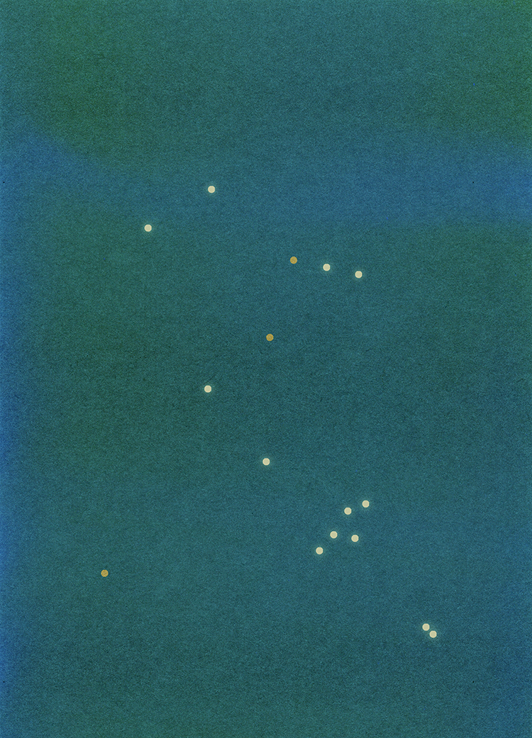 336. field of greens 19.01.25