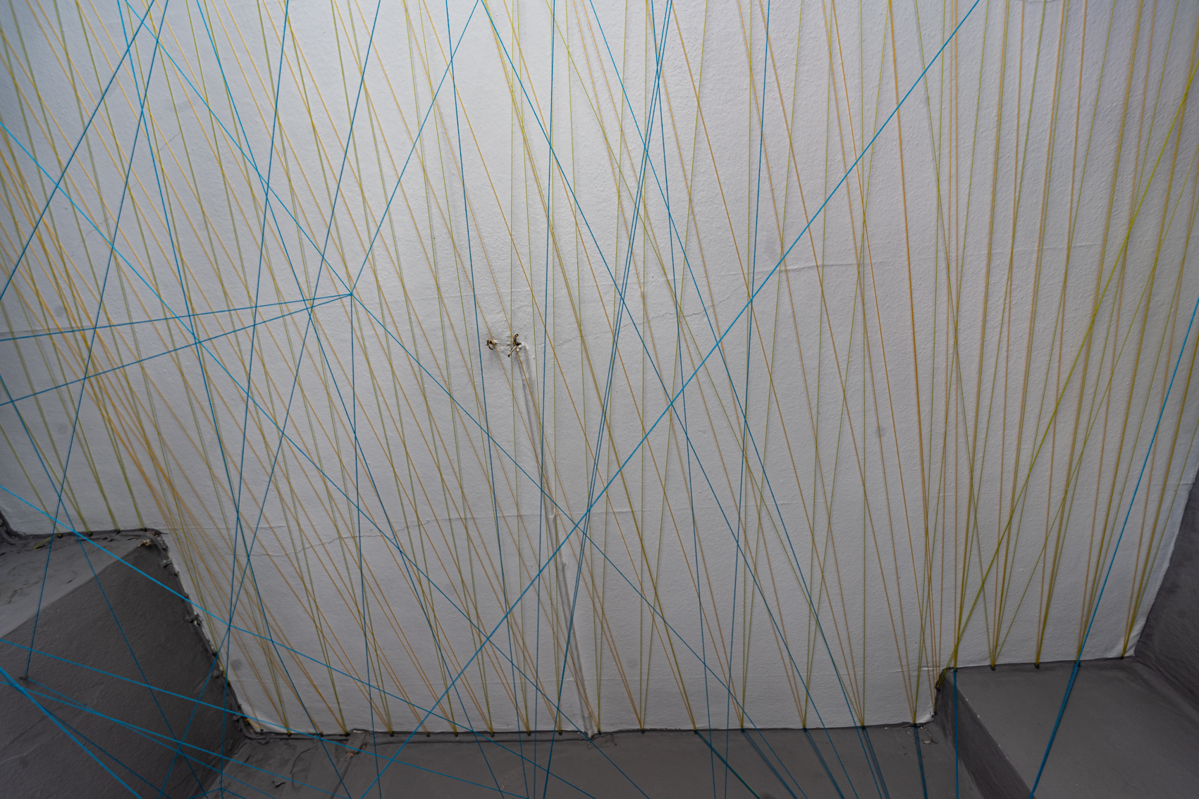 Bild 3 zu Ein Schritt zur&uuml;ck nach vorn: Fotografie der Decke. An der Decke sind viele gelbe und blaue Schn&uuml;re gespannt.