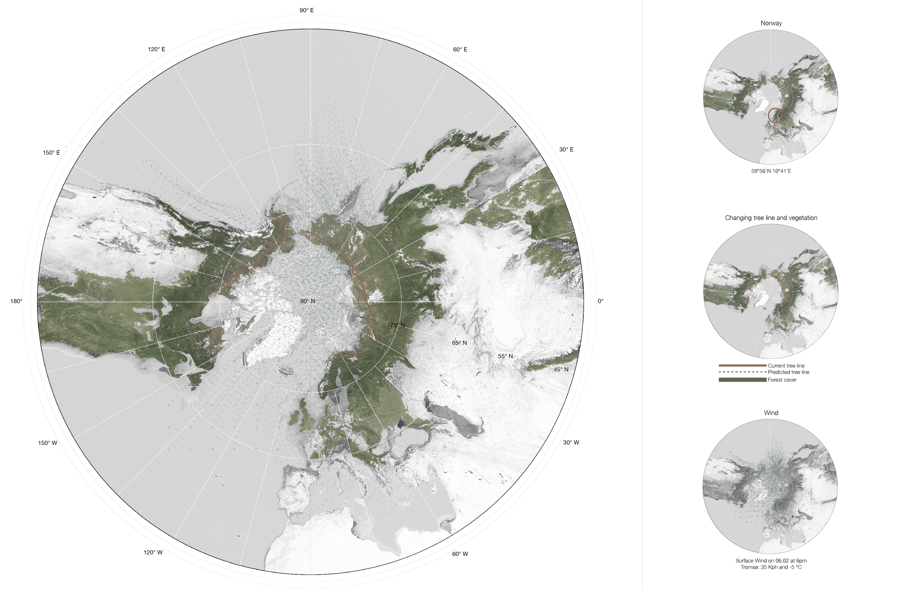 Forest cover and the Arctic tree line