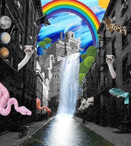 Federica Errante Calcomanías