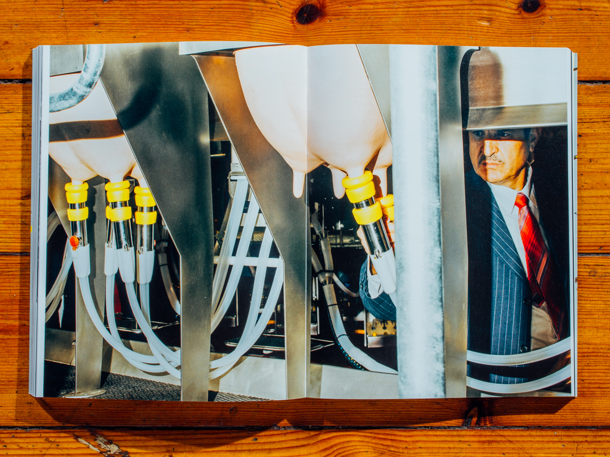 Ausstellungskatalog Lumix Festival / Hornless Heritage / Juli 2018