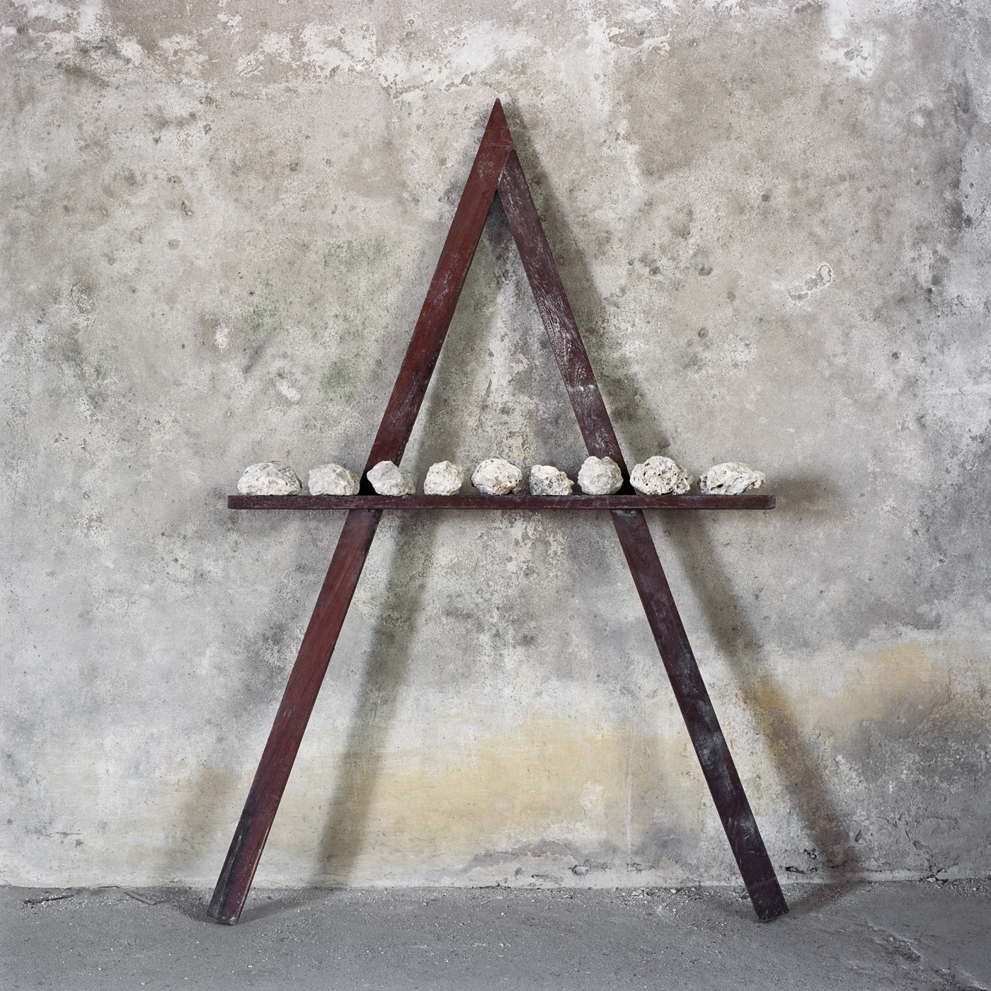 Faculty, Ibo Island, 2014