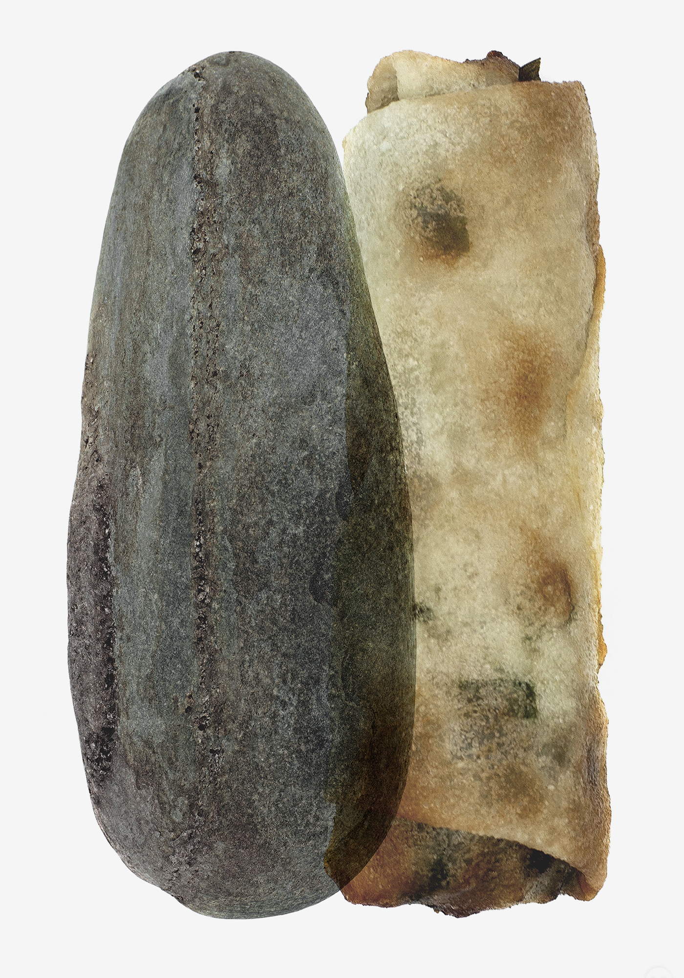 Rock &amp; Roll 2021Ink on paper50 x 70 cmconceptual, print