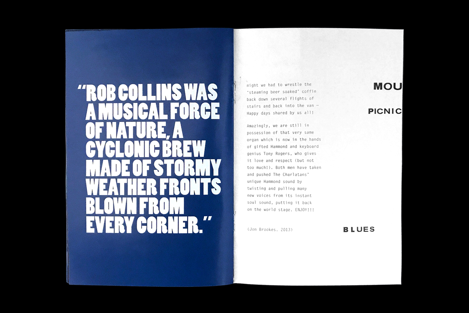 Ian Caulkett / Mountain Picnic Blues