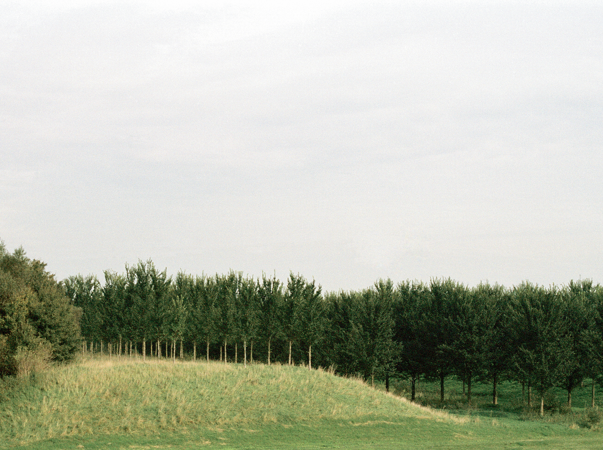 Black Greens (2001 - 2007)