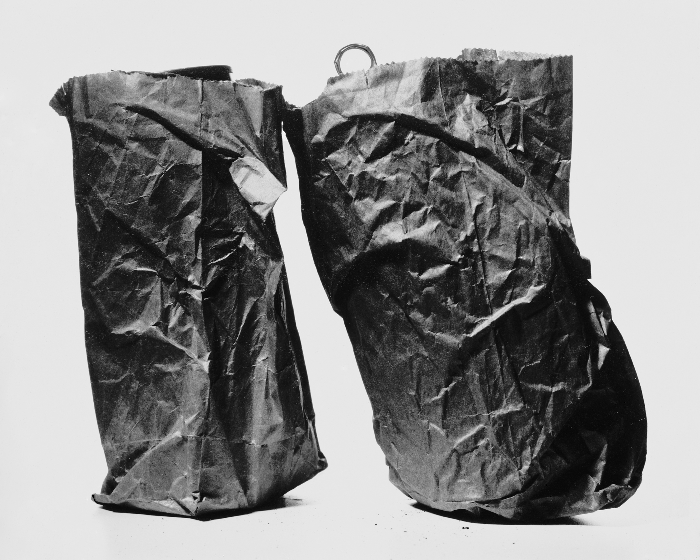 American Still Life, 1994 _ 1/20**