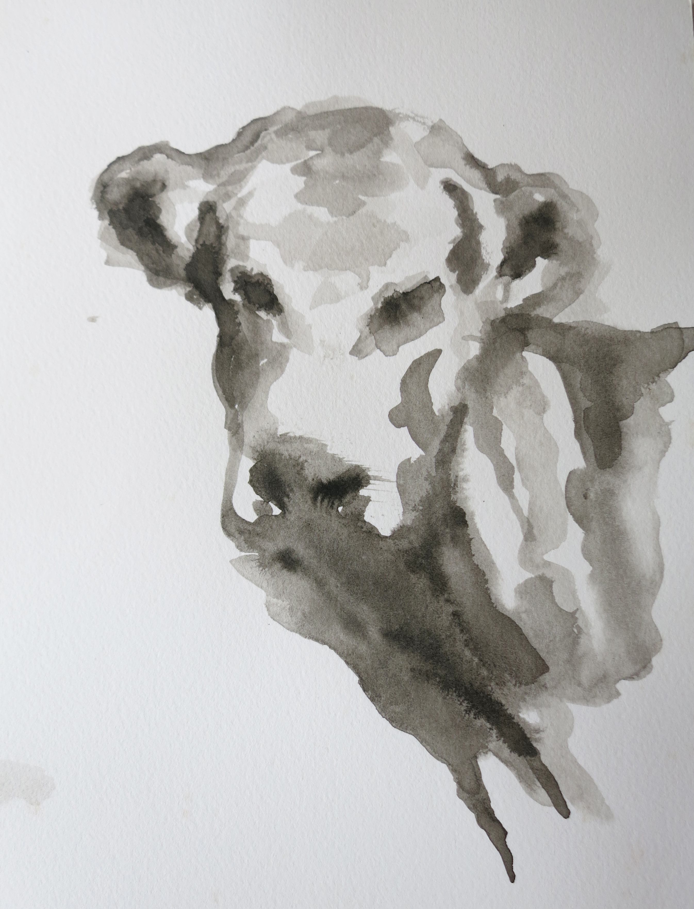  Ink on paper &ndash; 11&rdquo; x 15&rdquo; 