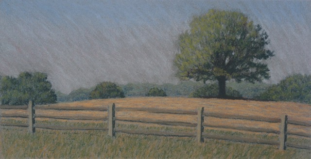 P1.83 - Goshen Rd. maple