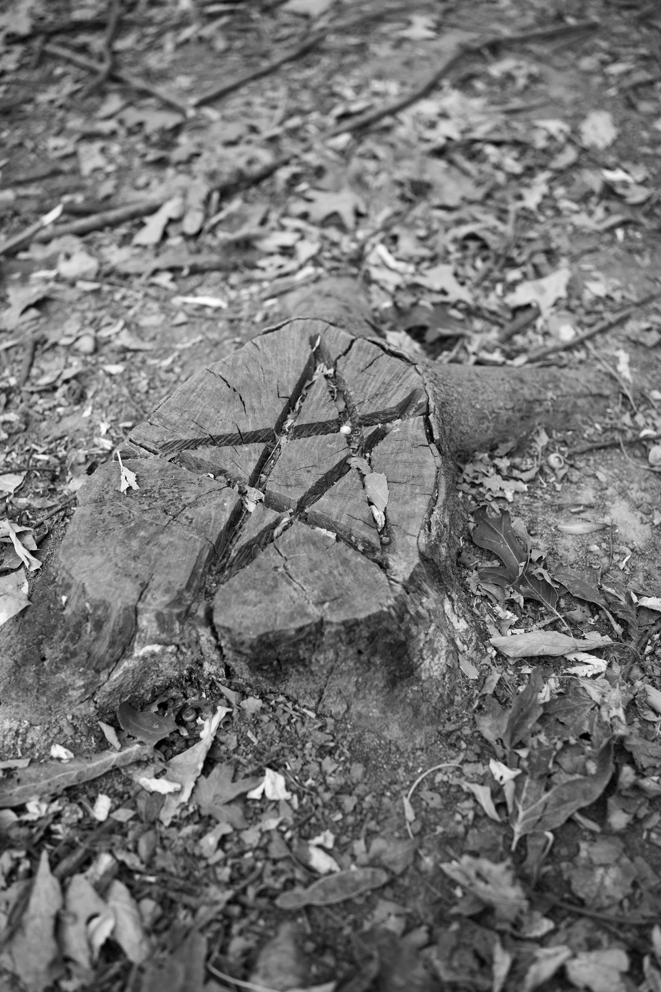 Pentacle, Milan, July 2022.