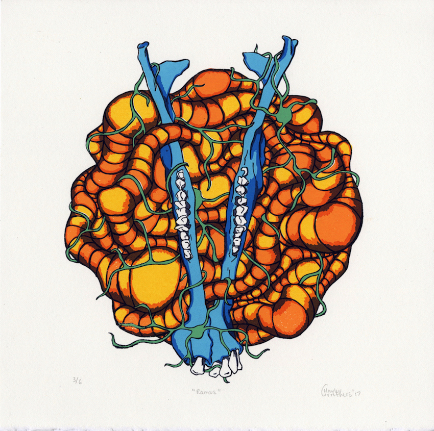 "Ramus", silkscreen print, 9"x9", edition of 6. 2017