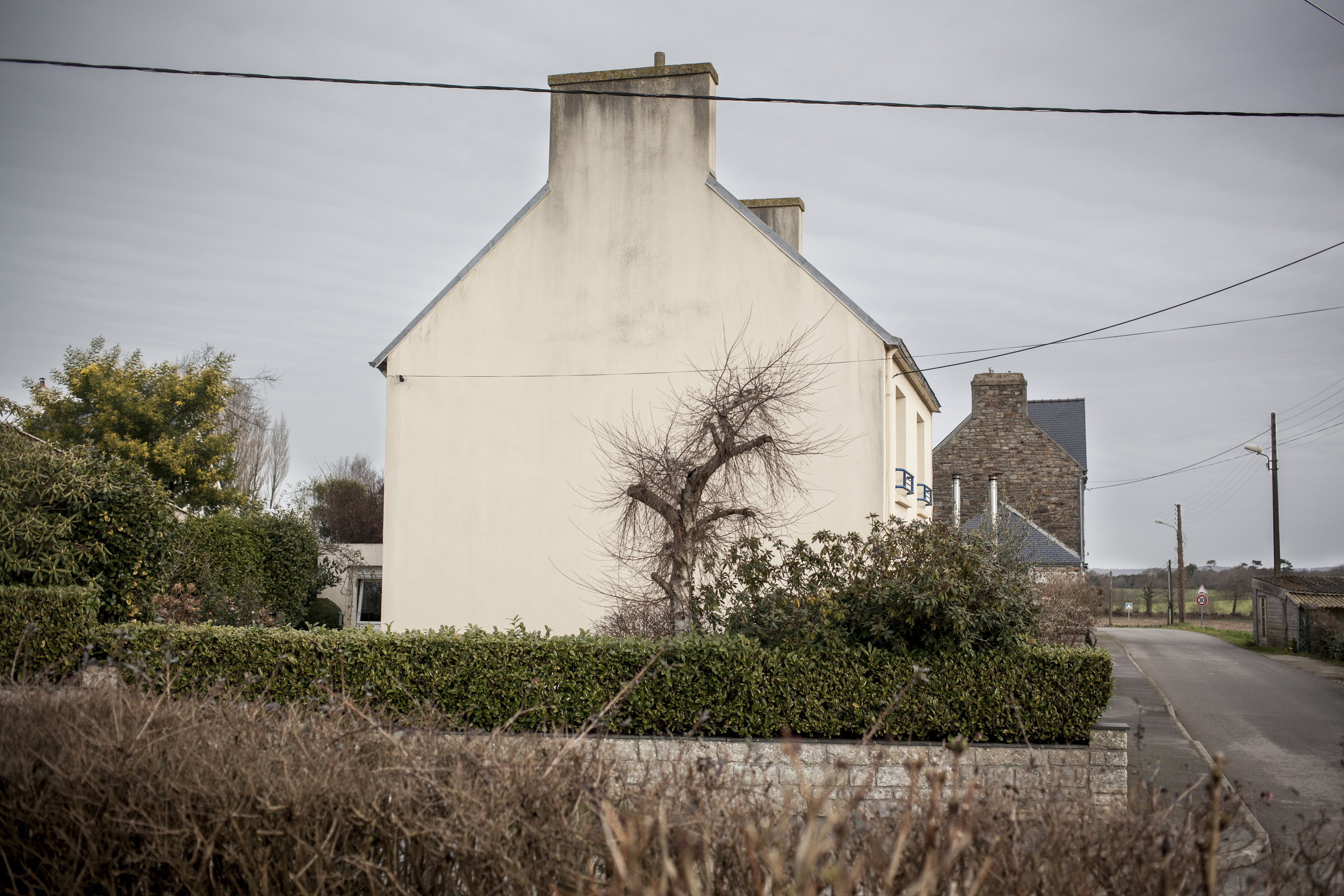 julien cregut-Lost Dogs-©juliencregut