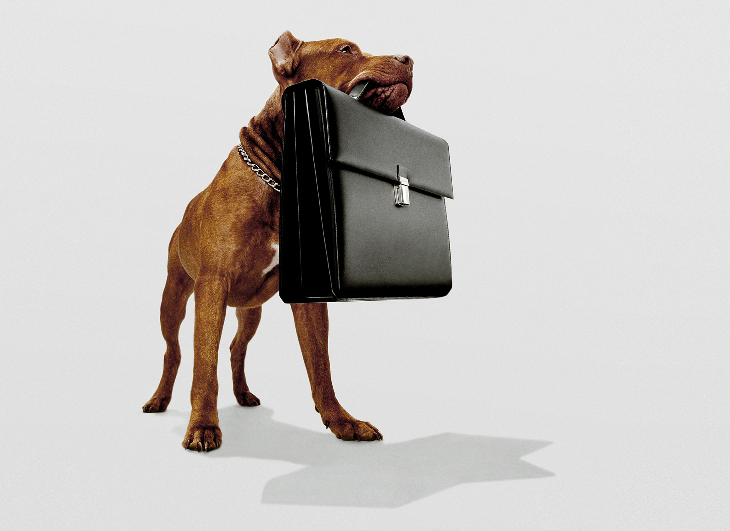 Nava Design, 20022/3