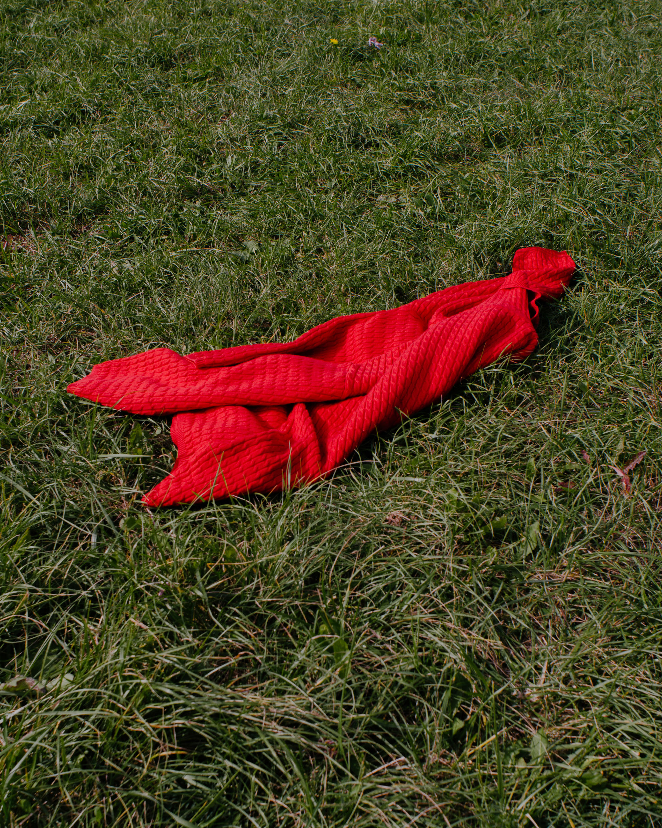 Slow Down, You Crazy Child