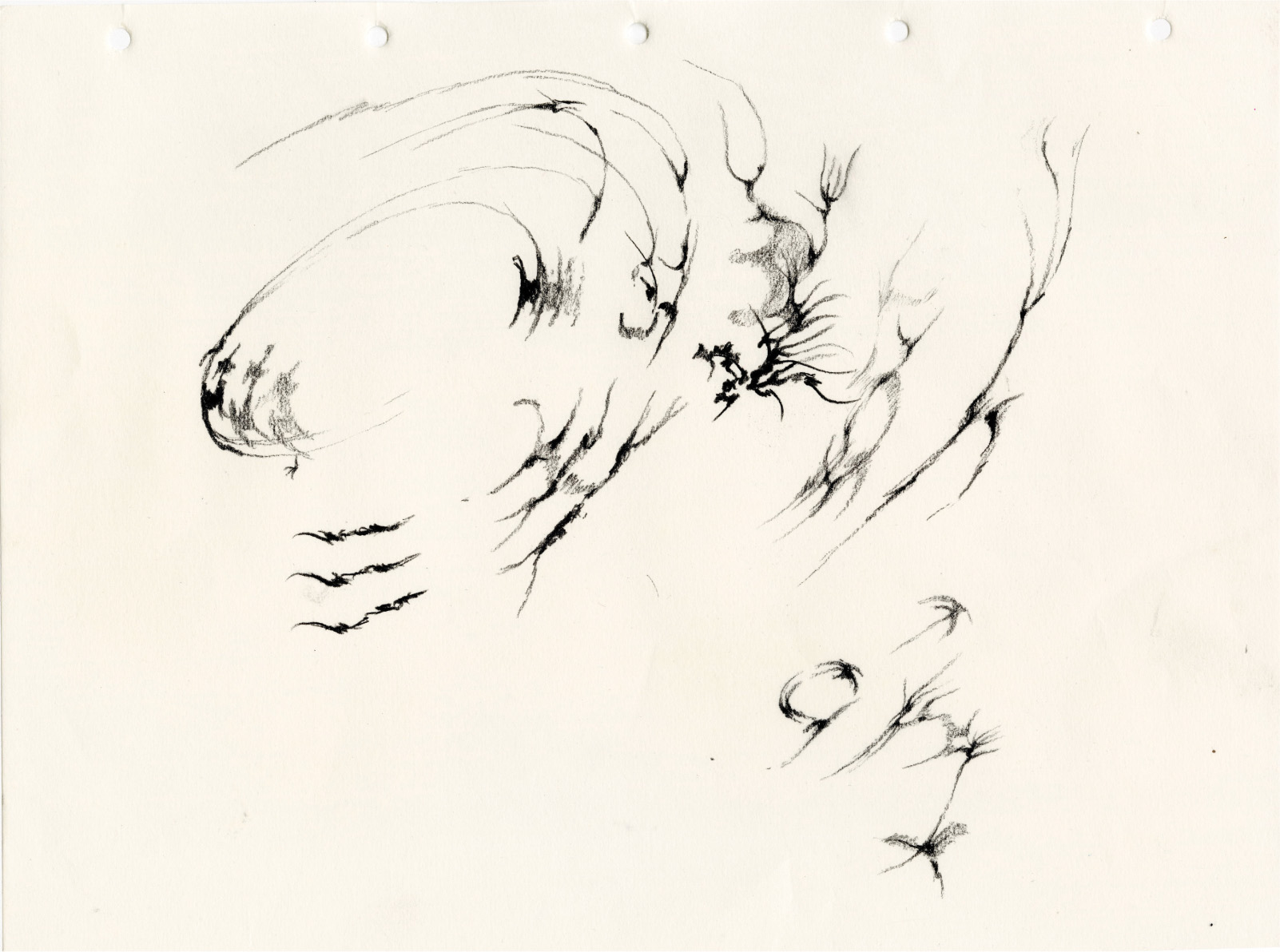 social memories (2023.) automatic drawing. cont&eacute; crayon on paper.