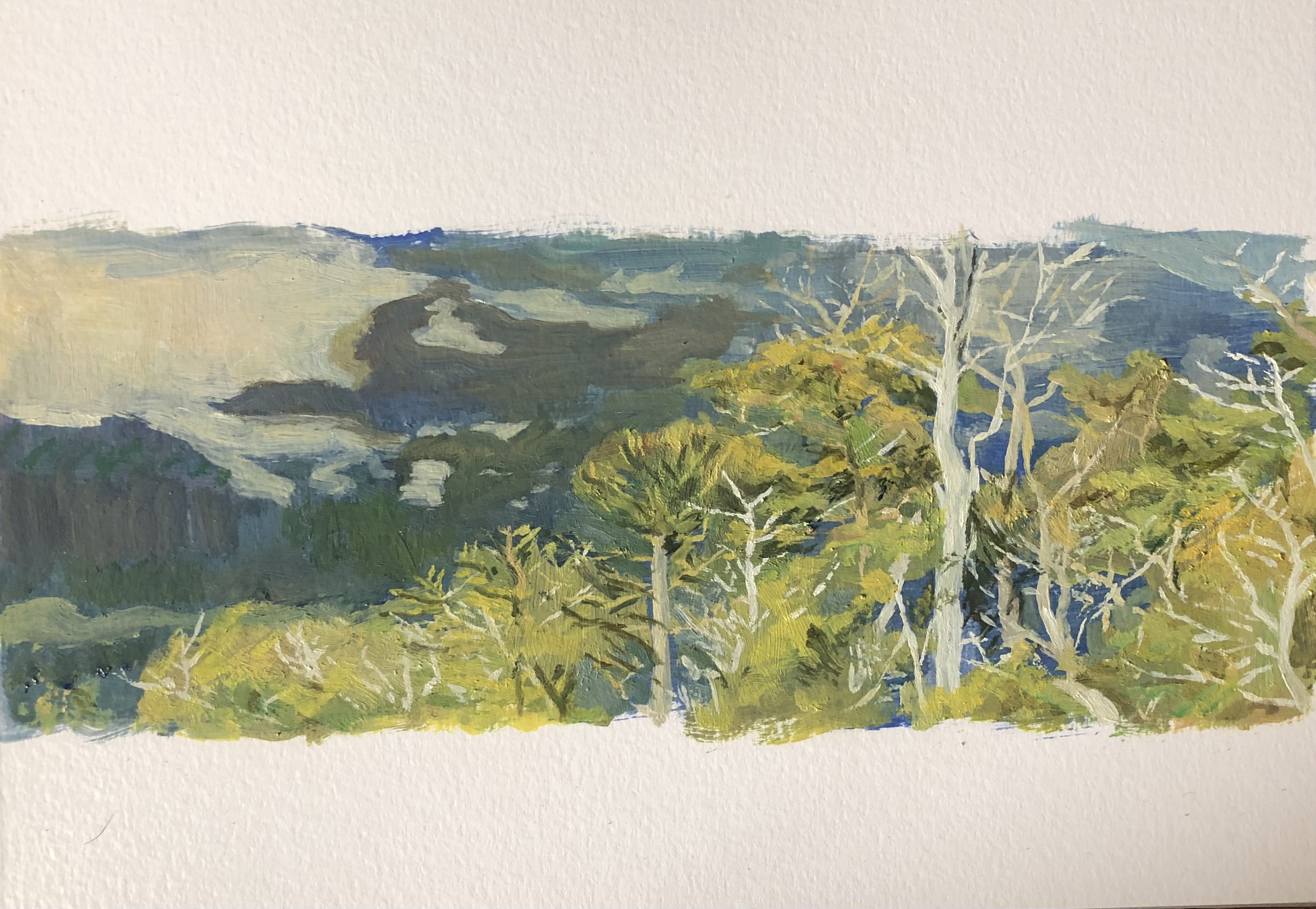 Conguillío - óleo sobre papel A4