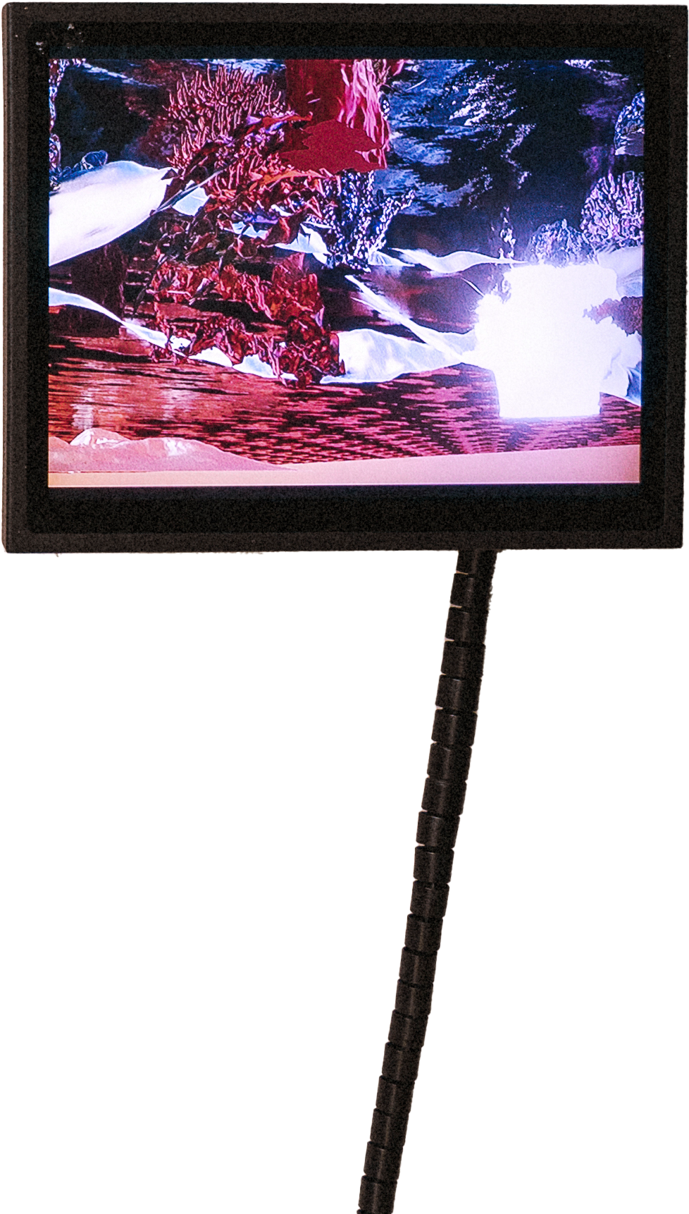 how_to_wake_up_the_ghosts adaption.mov