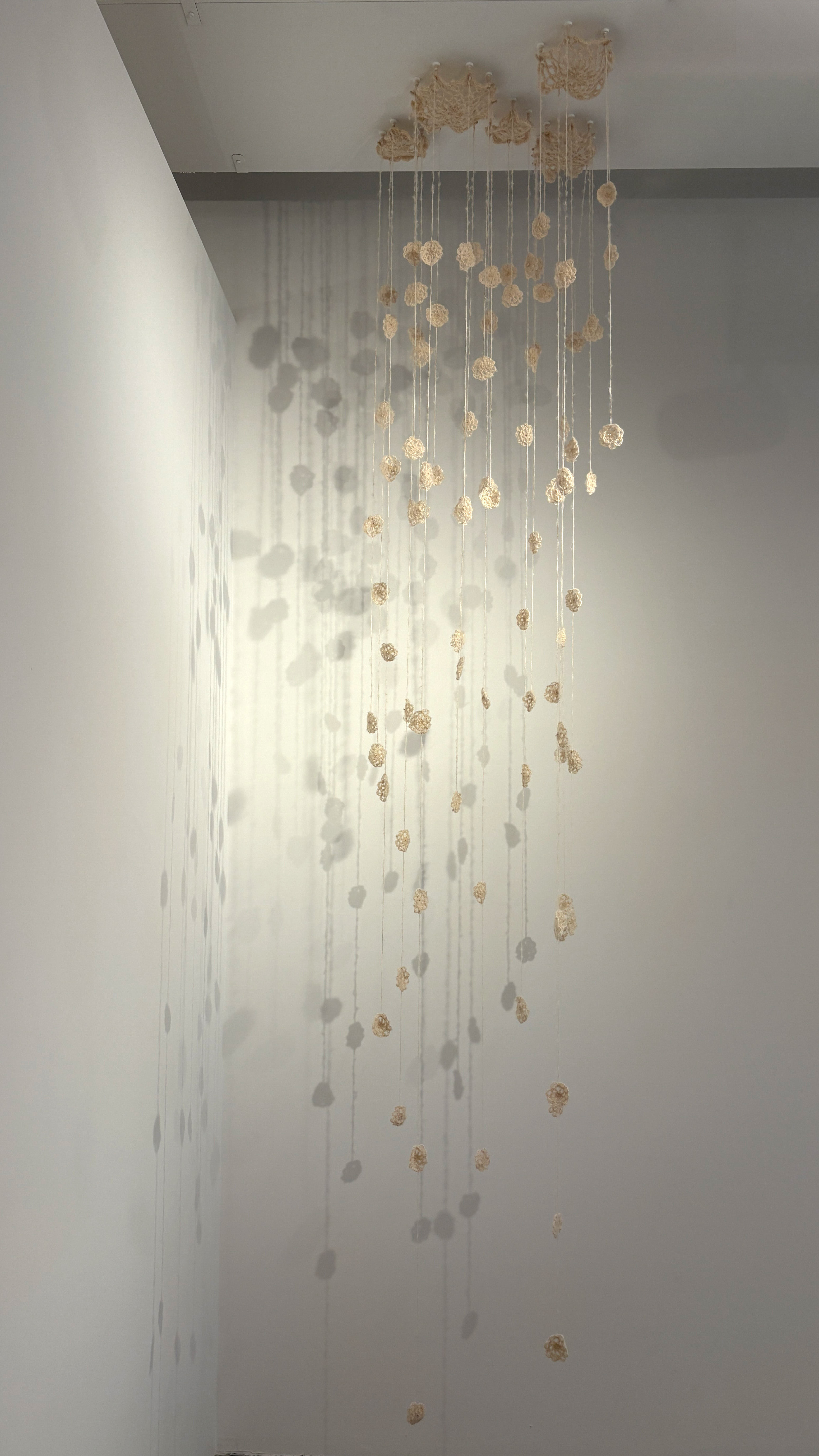 An Origin in Bloom, 2025, Crocheted installation, Dimensions variable