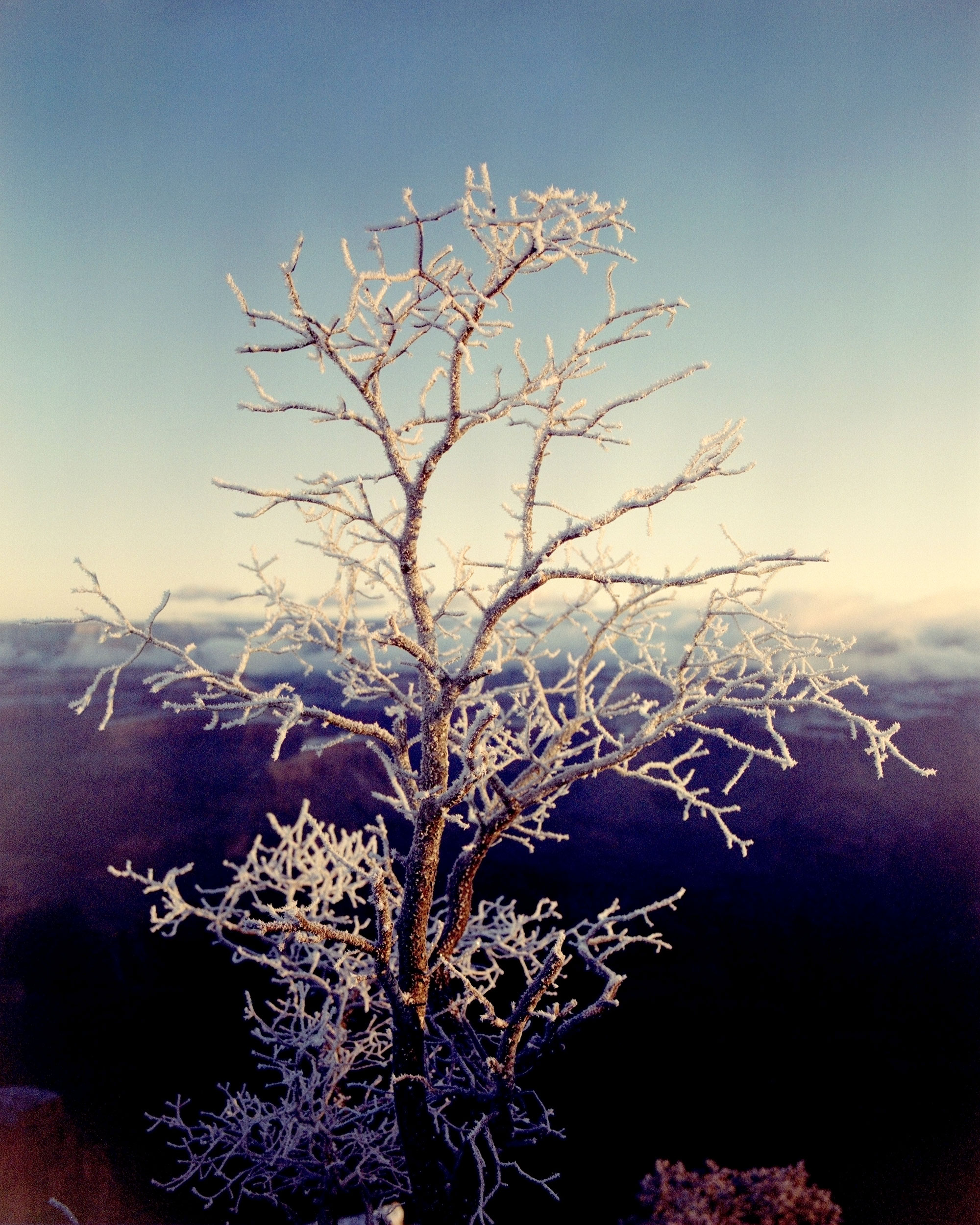 Icicles, Grand Canyon, AZ, 2023