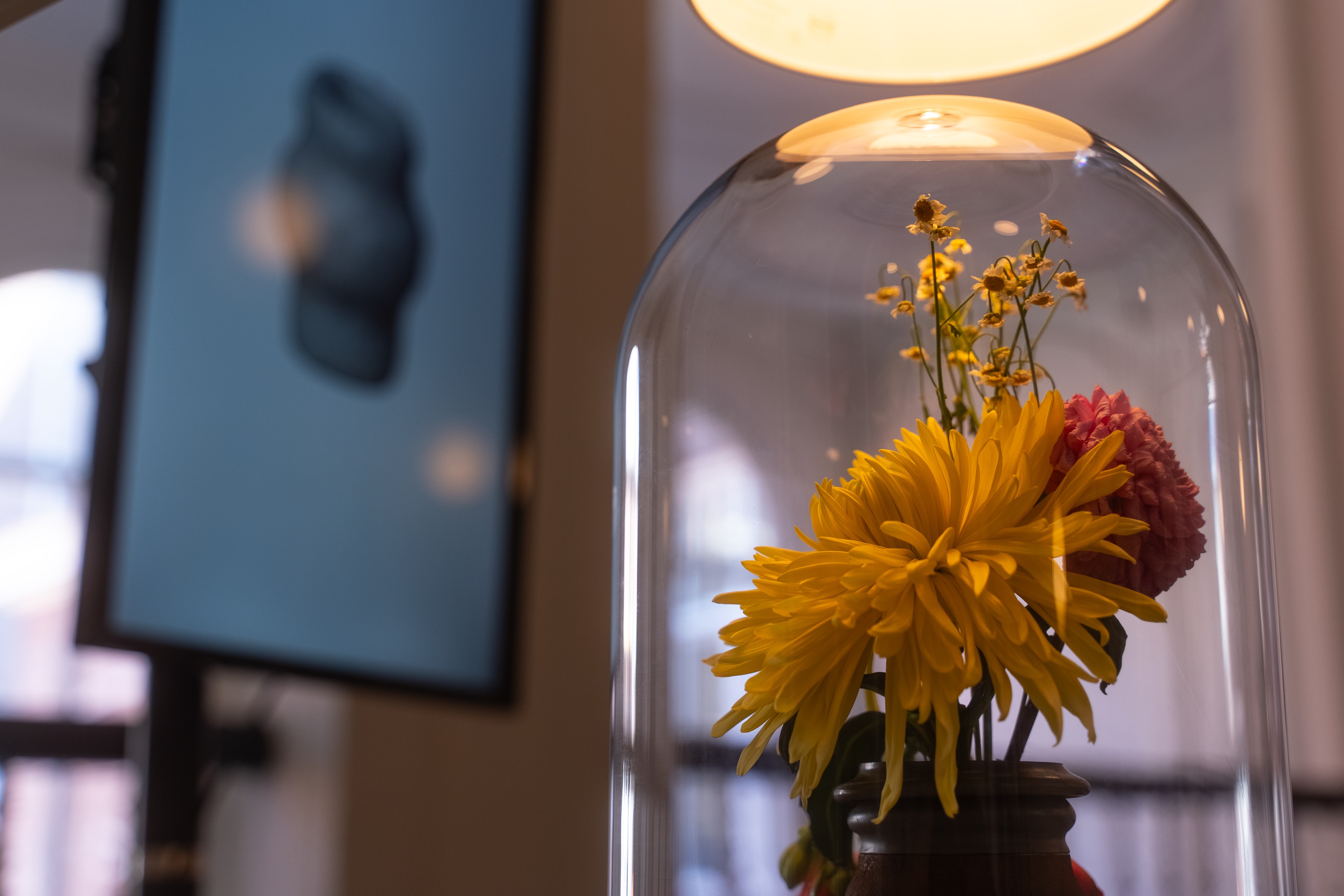 Bits to Pieces: Exploring Possibilities of Digital Impermanence - Yotam Sion 