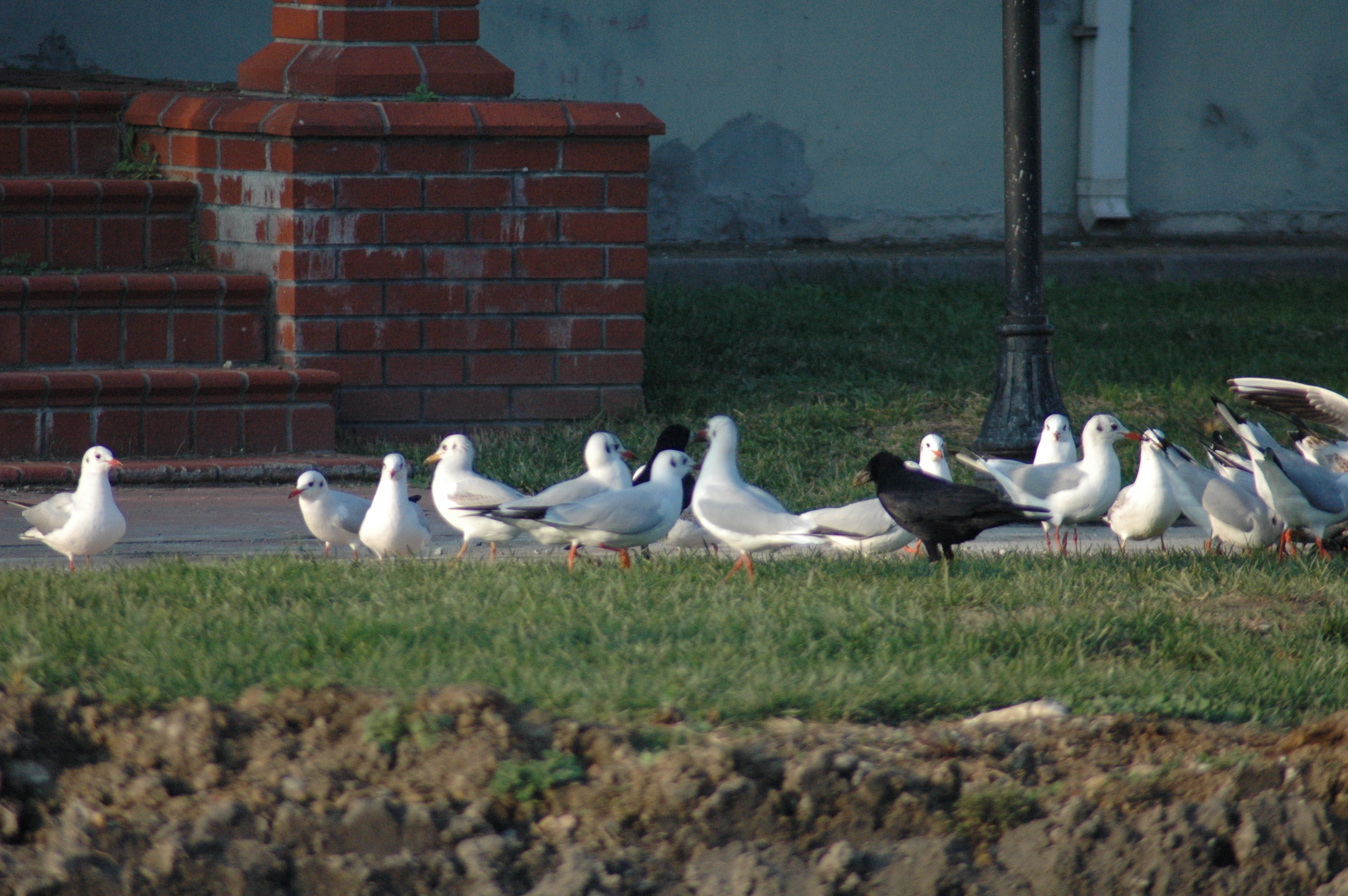 19.12.2014, Tarihi Hamam