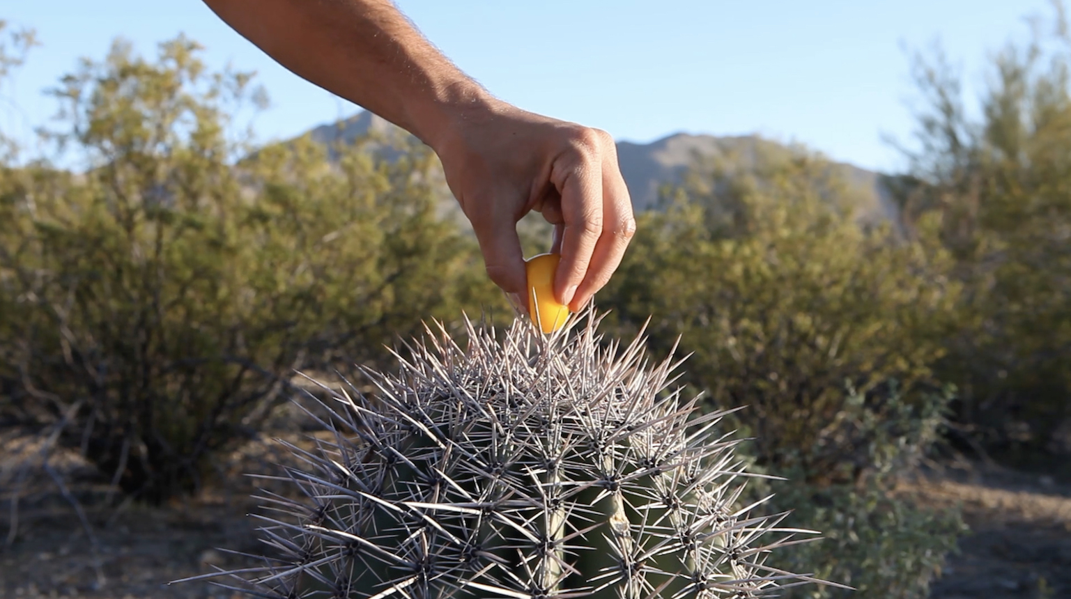 Still from A balance between too little and too much by Daniel Kukla