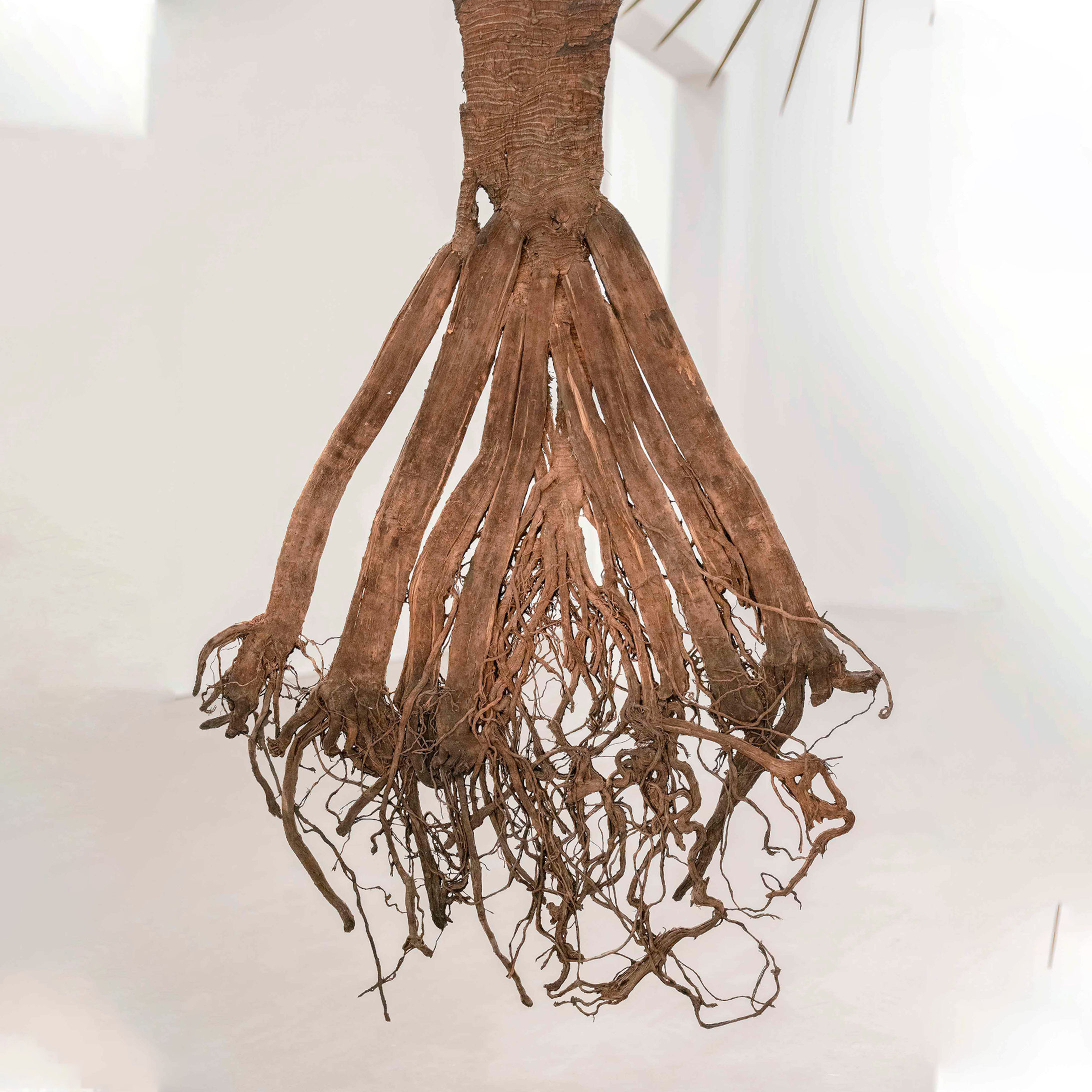 When Platitudes become Form